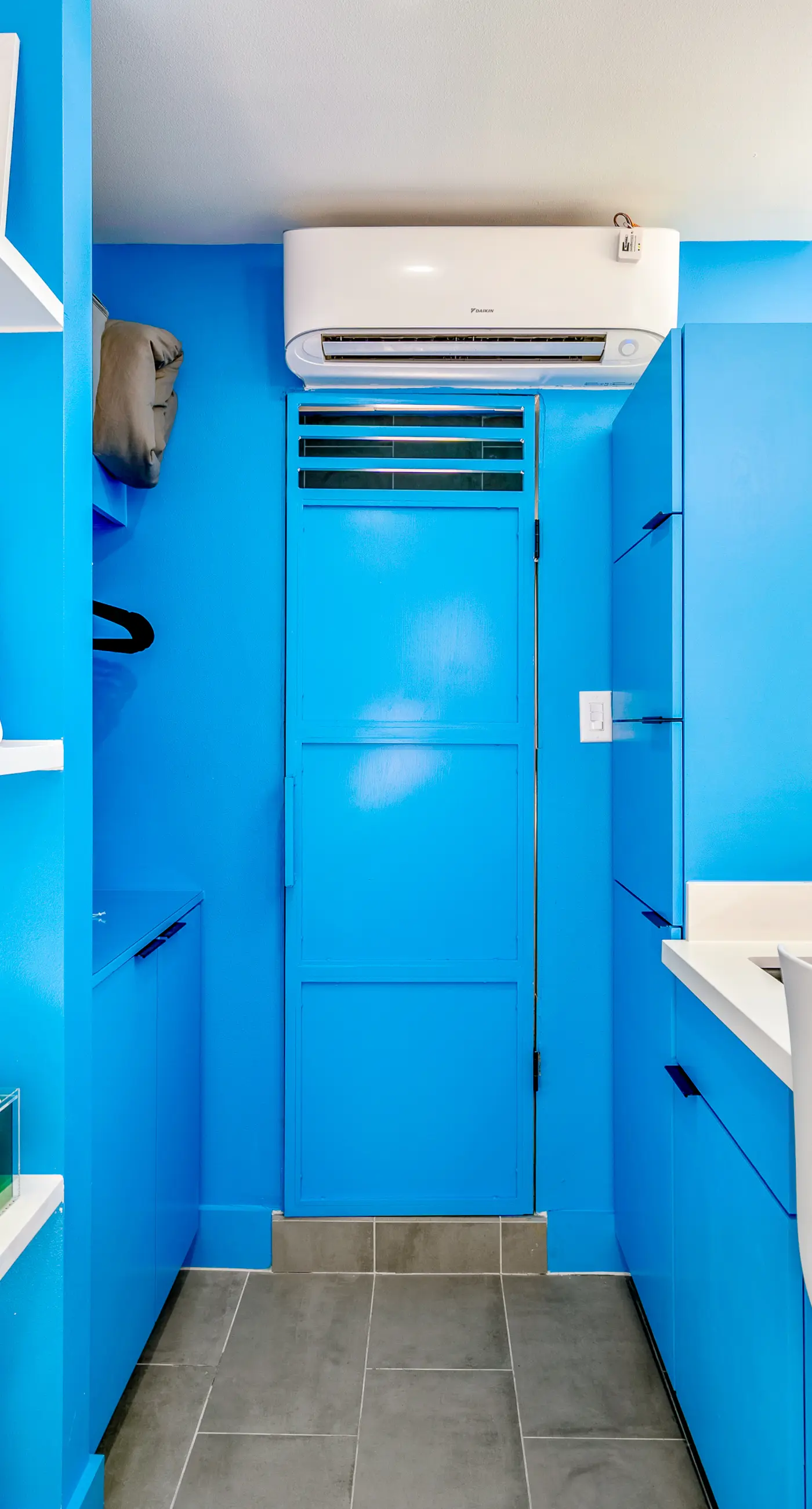 Blueberry Container at EADO Juicebox