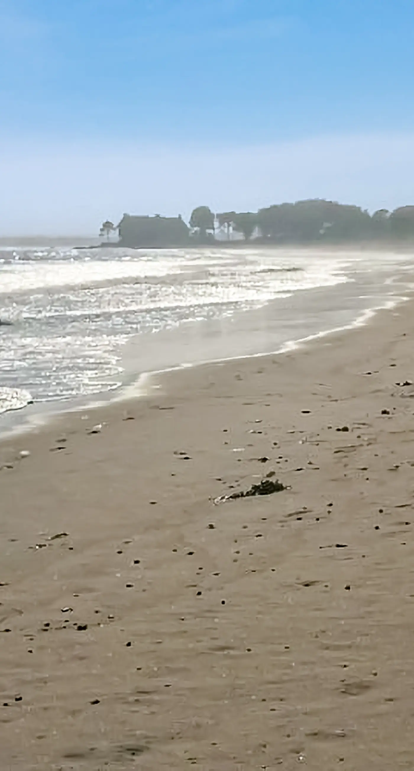 Shorelands, Unit 44-3