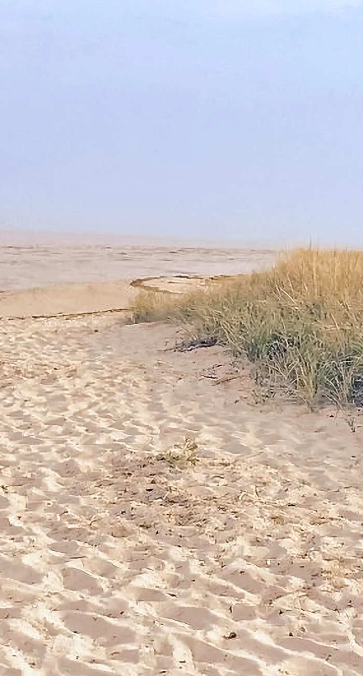 Shorelands, Unit 44-3