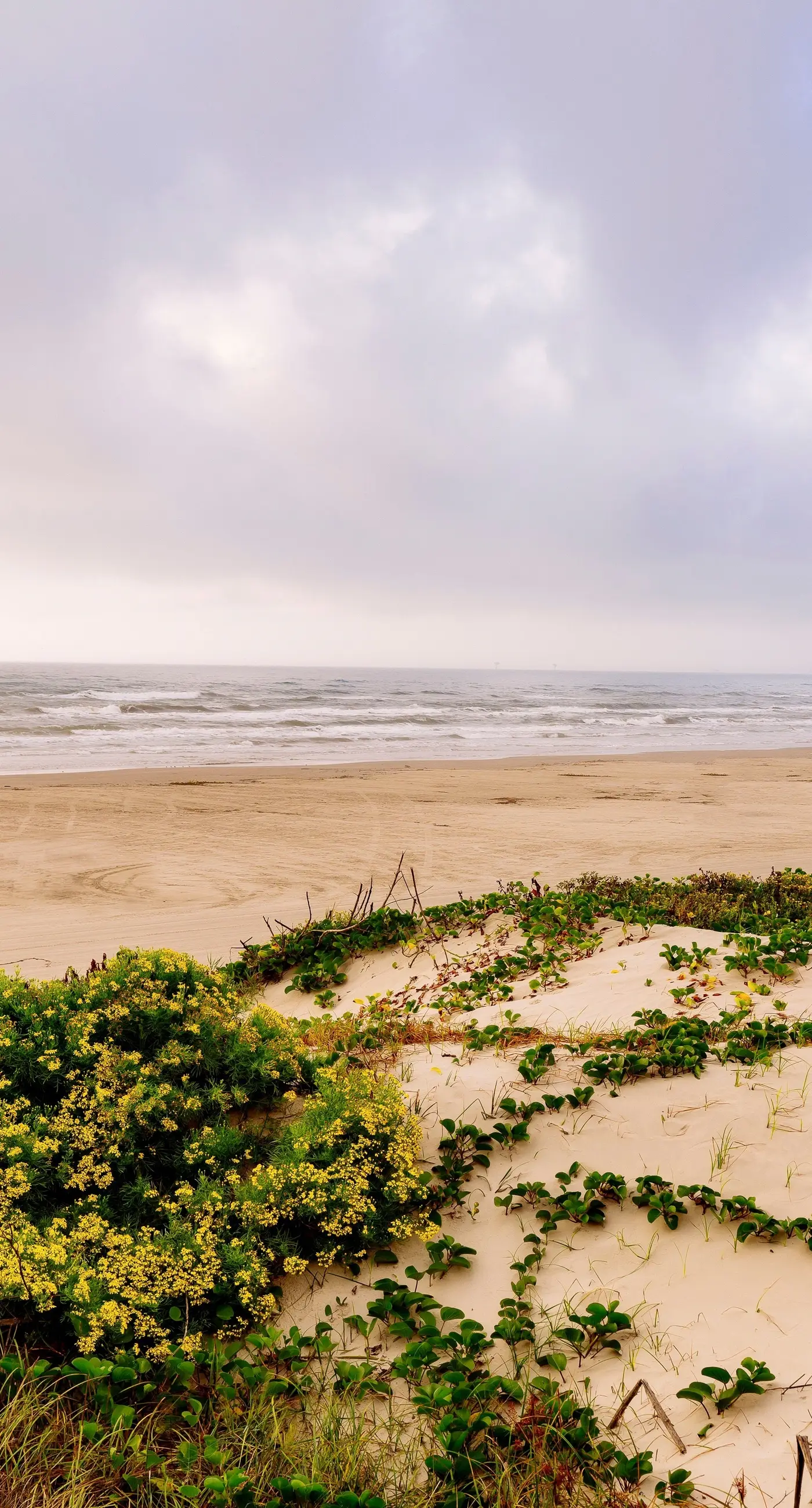 Anne's Paradise Beach Retreat  