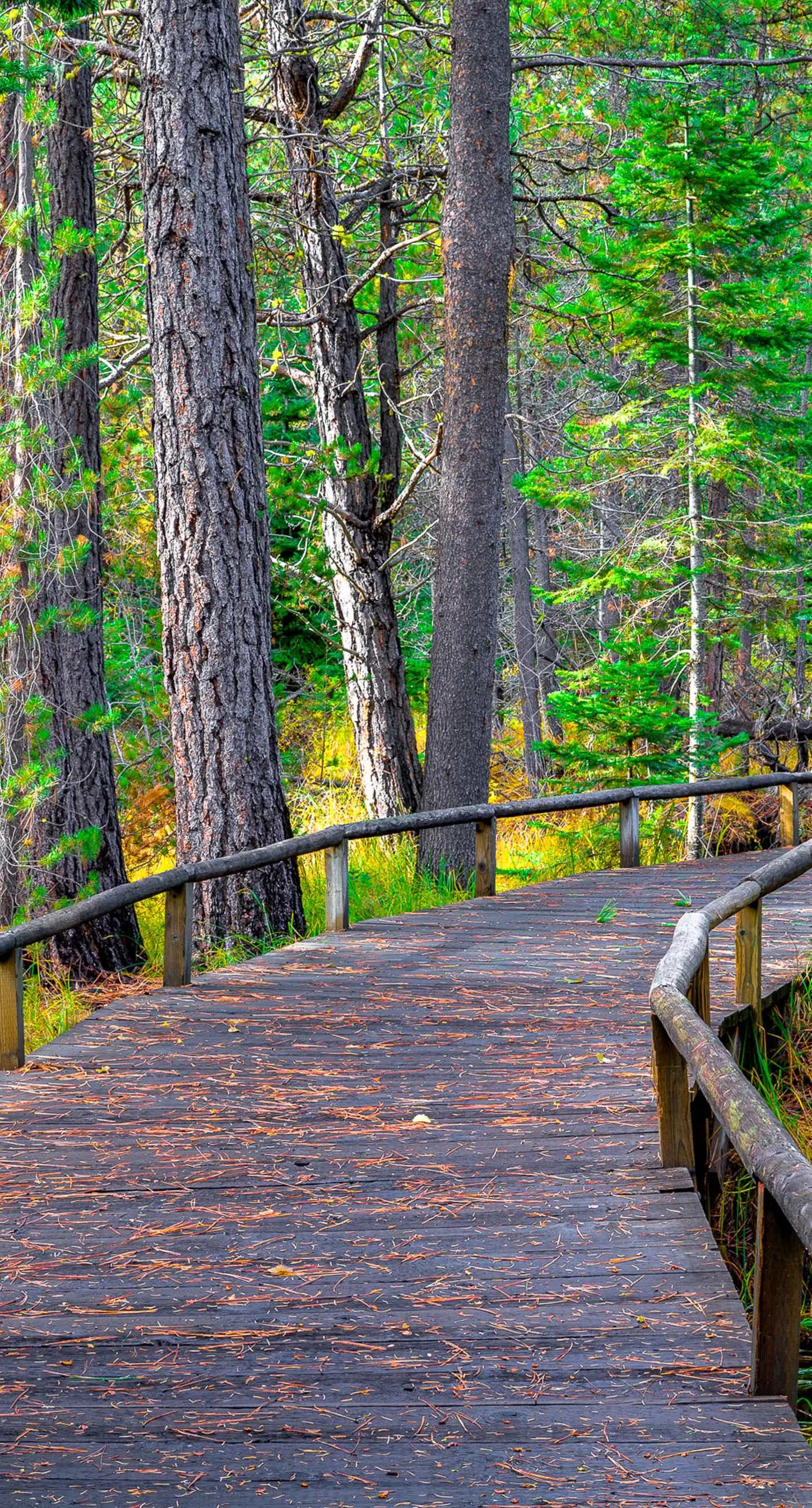 Black Butte Ranch RR64