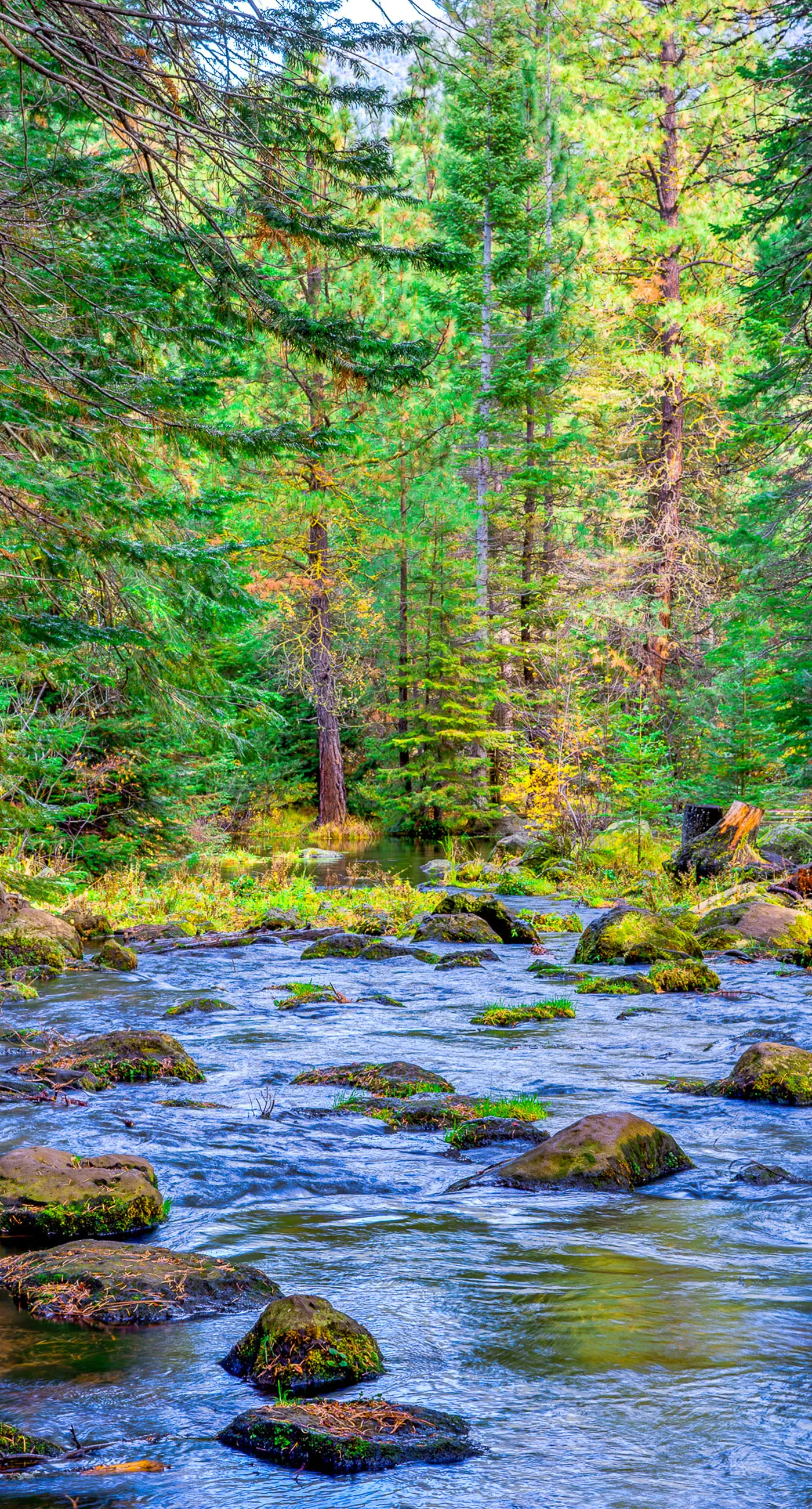 Black Butte Ranch RR64