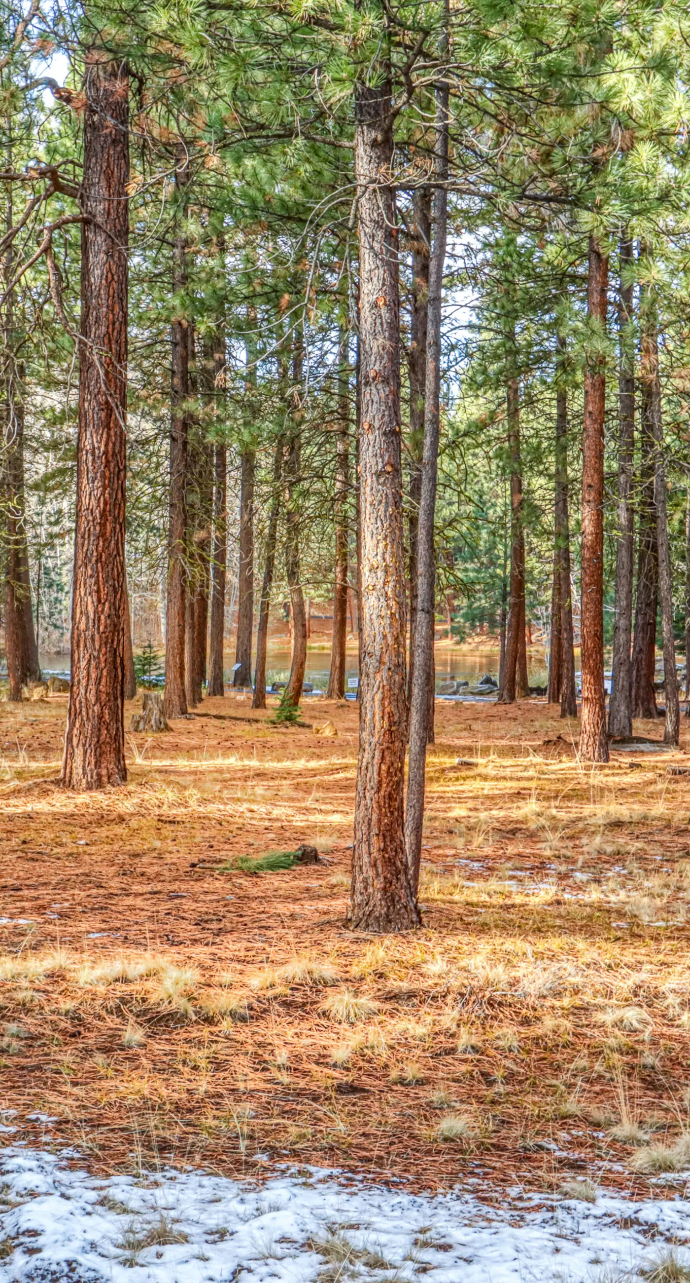 Black Butte Ranch RR64