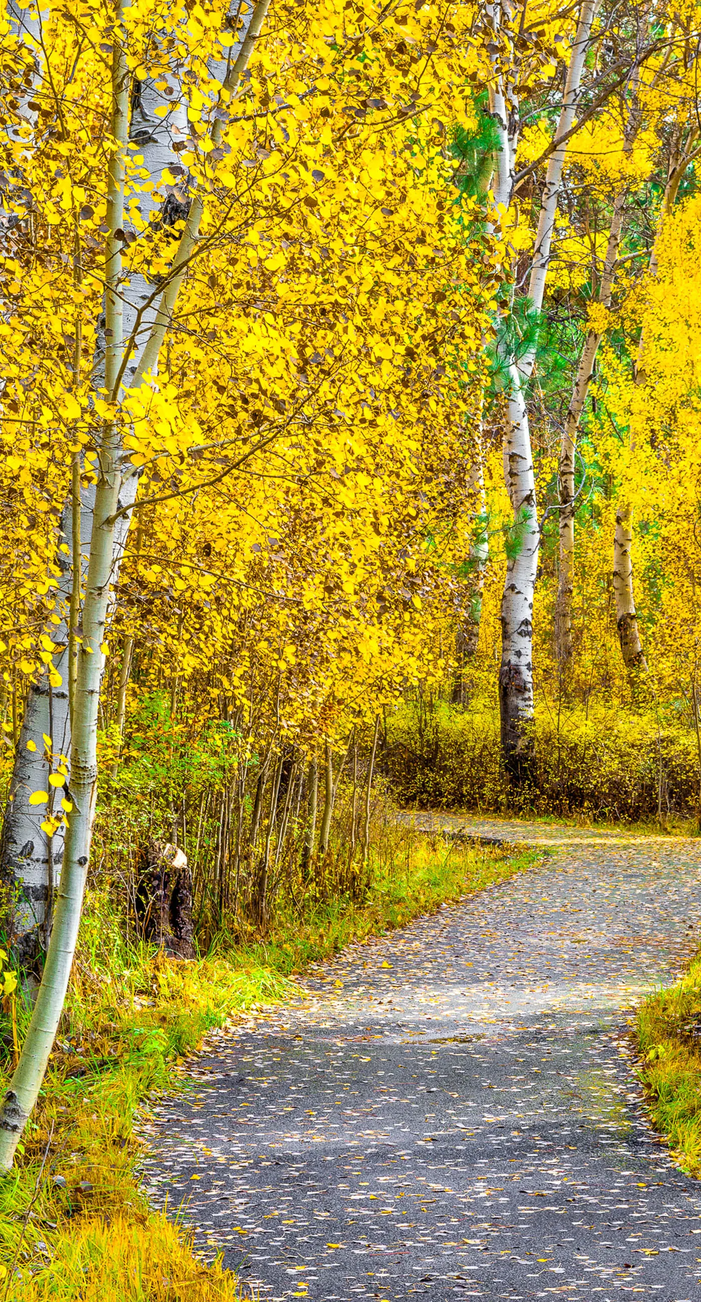 Black Butte Ranch RR64