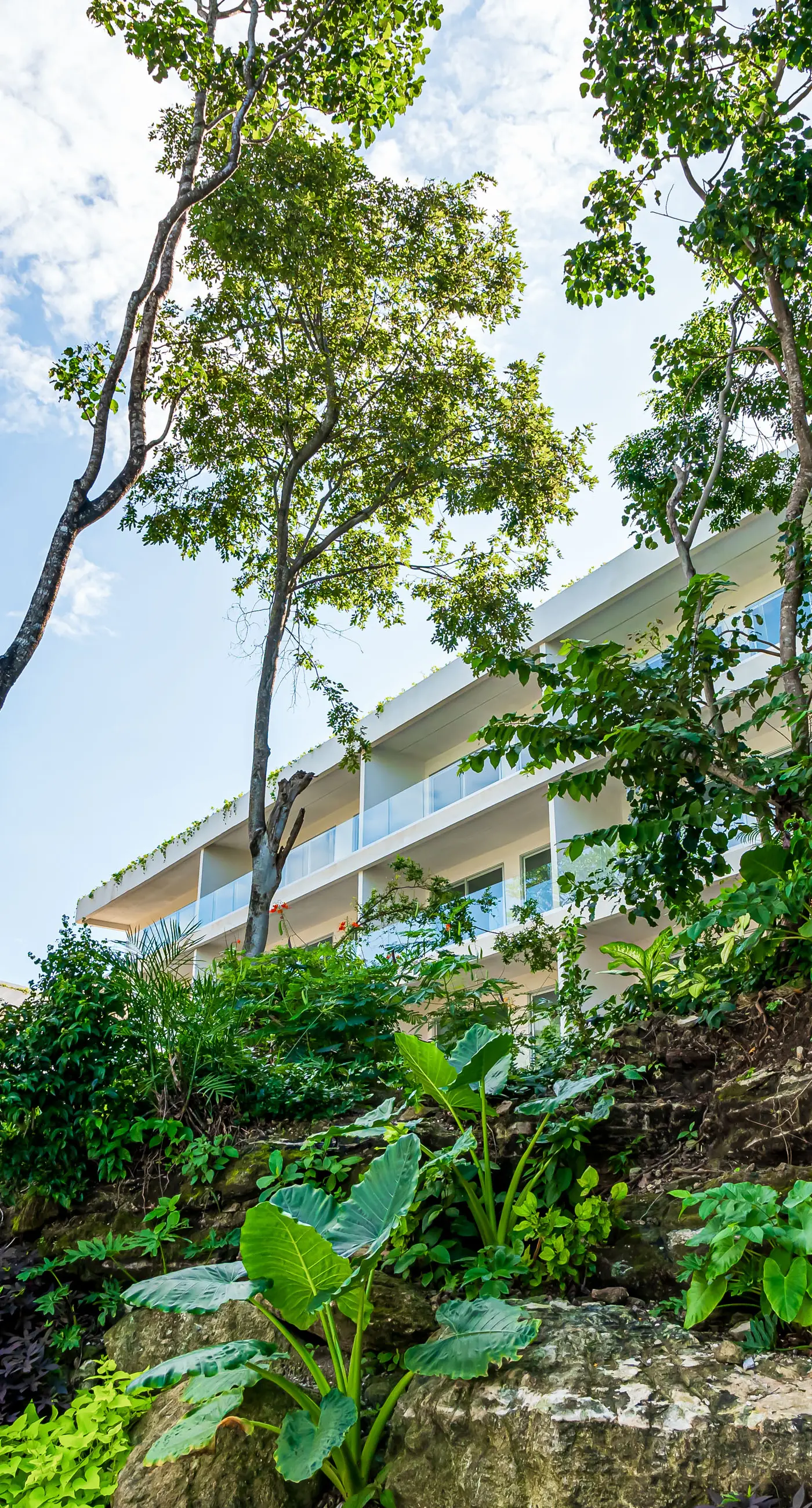 Garden Serenity TL C109