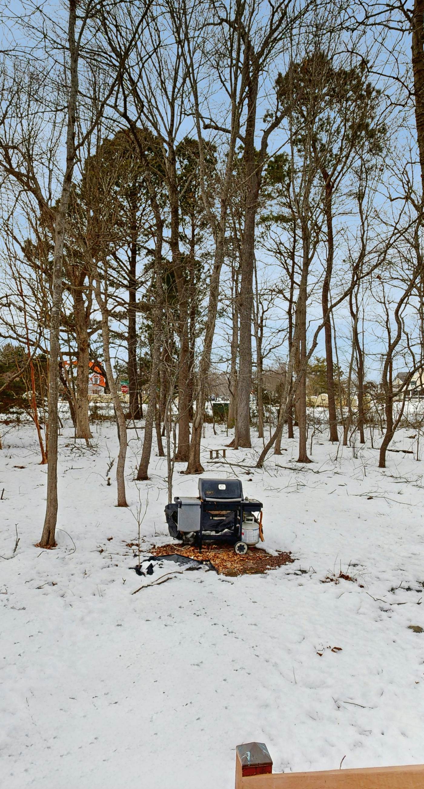 Salt Pond - 702 Fox Tail Dr