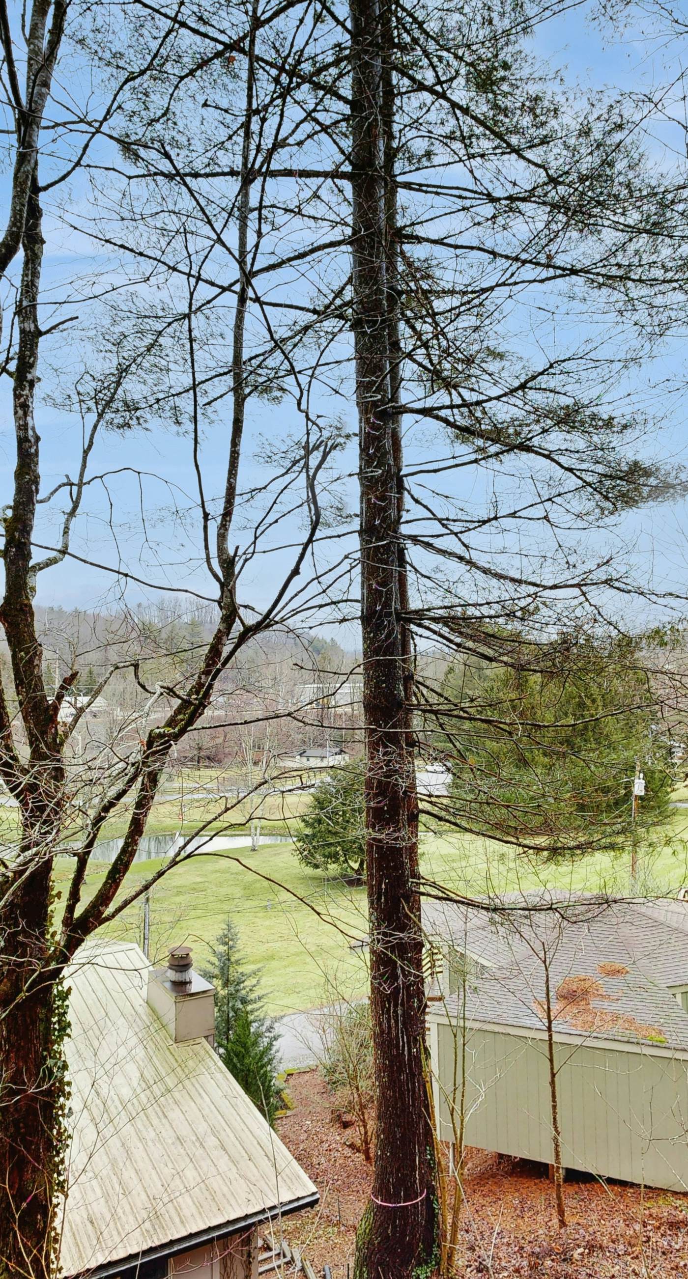 The Treehouse at Banner Elk