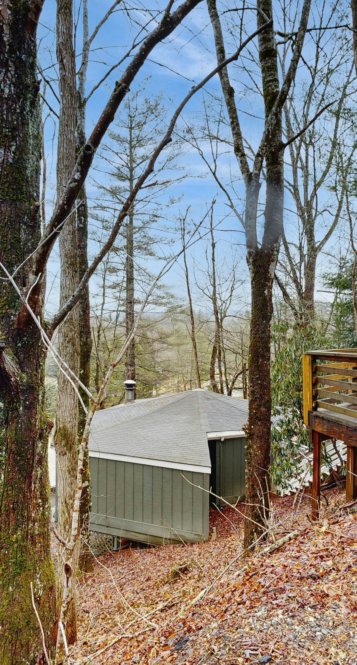 The Treehouse at Banner Elk