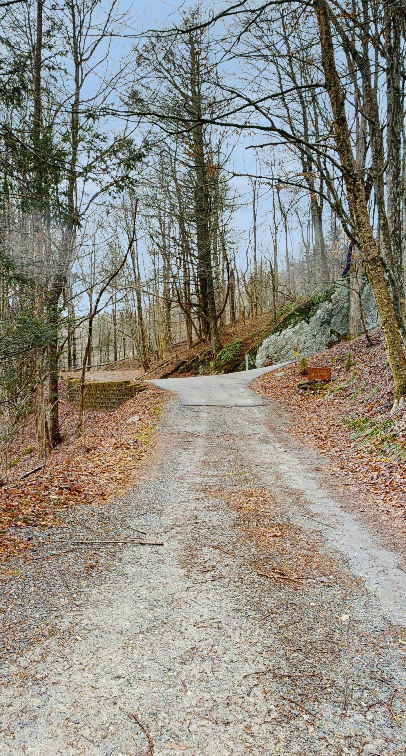 The Treehouse at Banner Elk