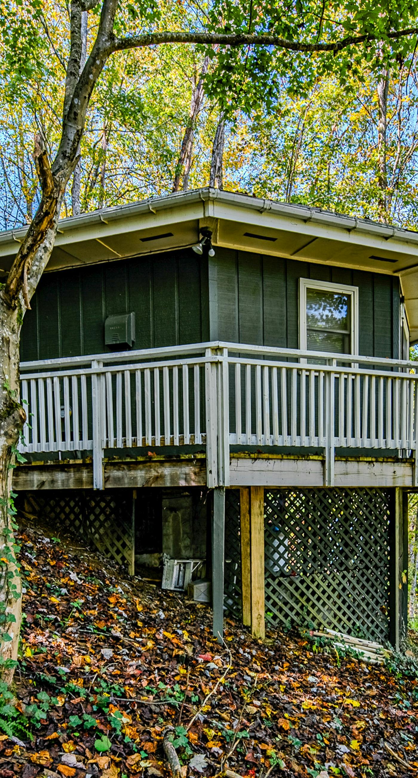 The Treehouse at Banner Elk