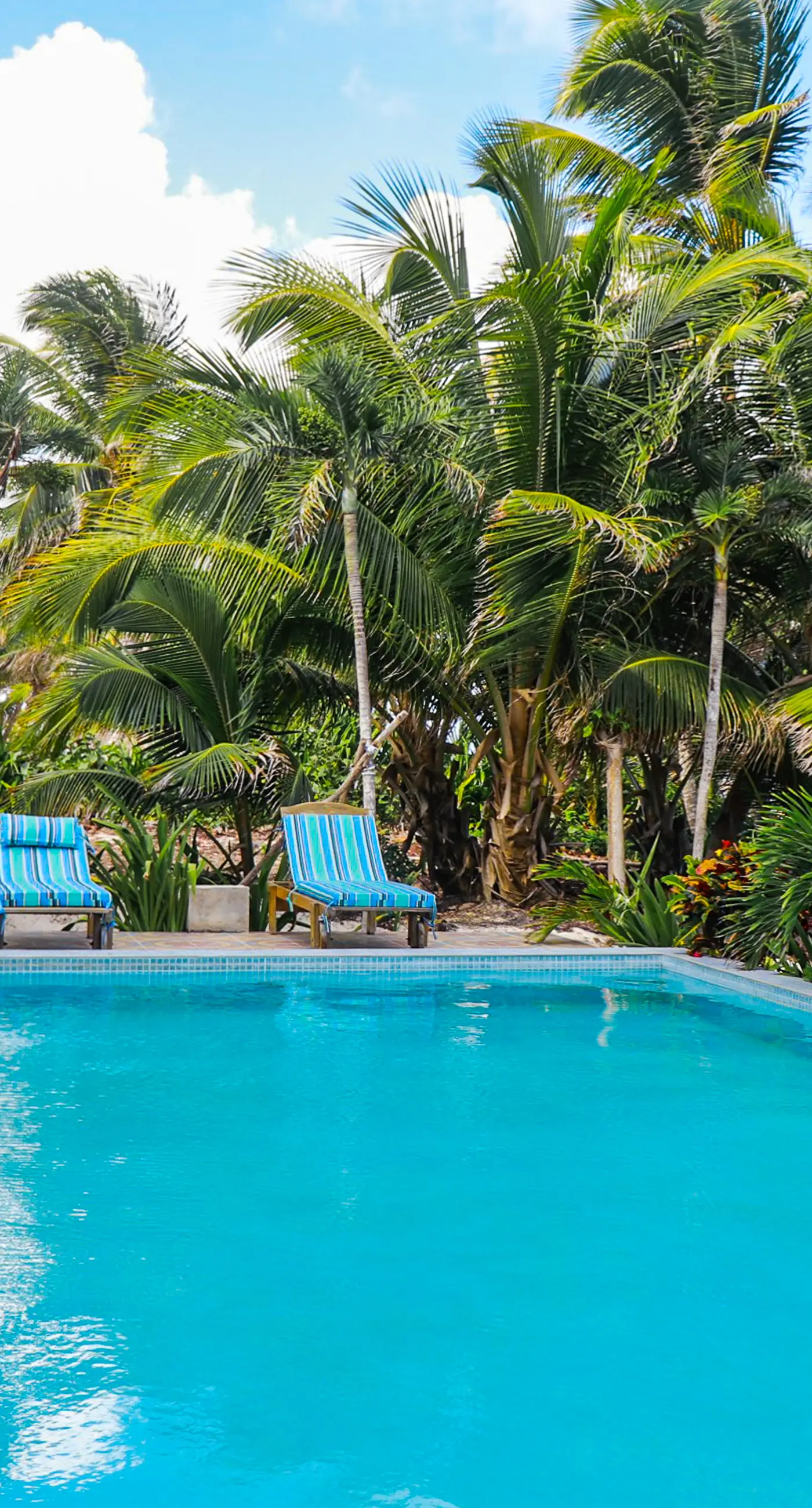 A1 at Blue Water Beach Villas