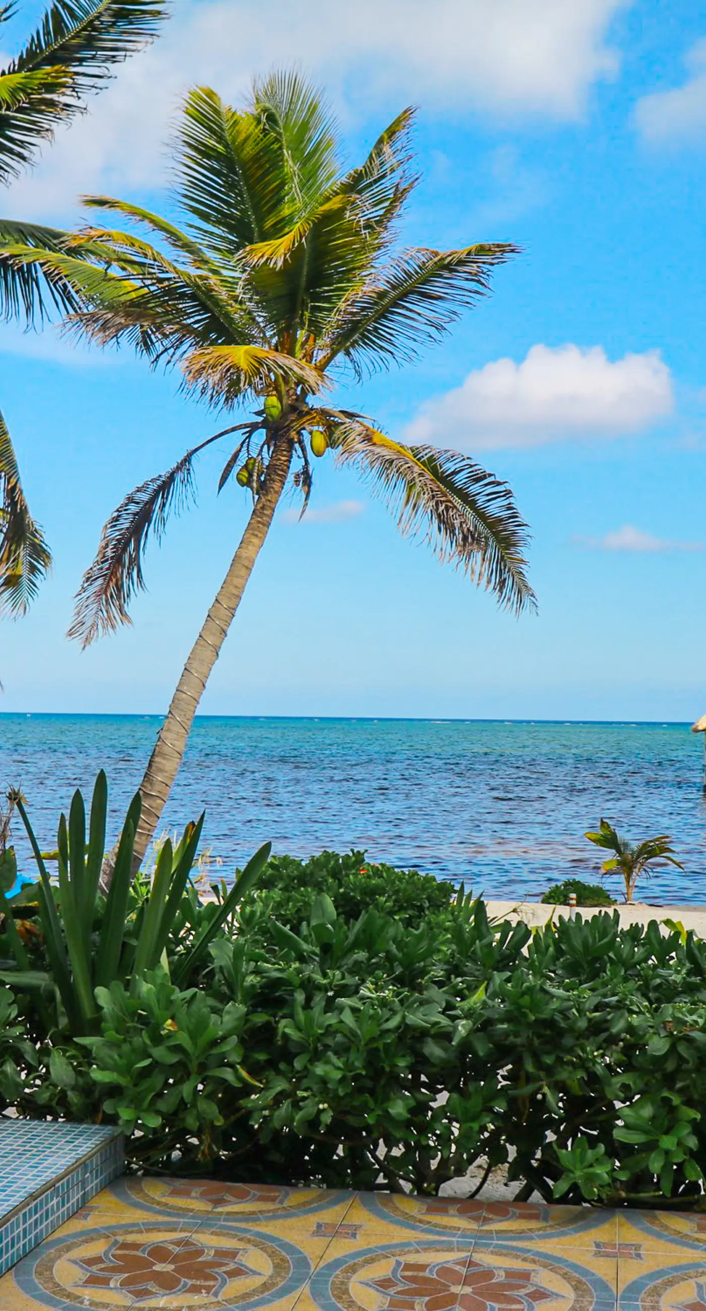 A1 at Blue Water Beach Villas