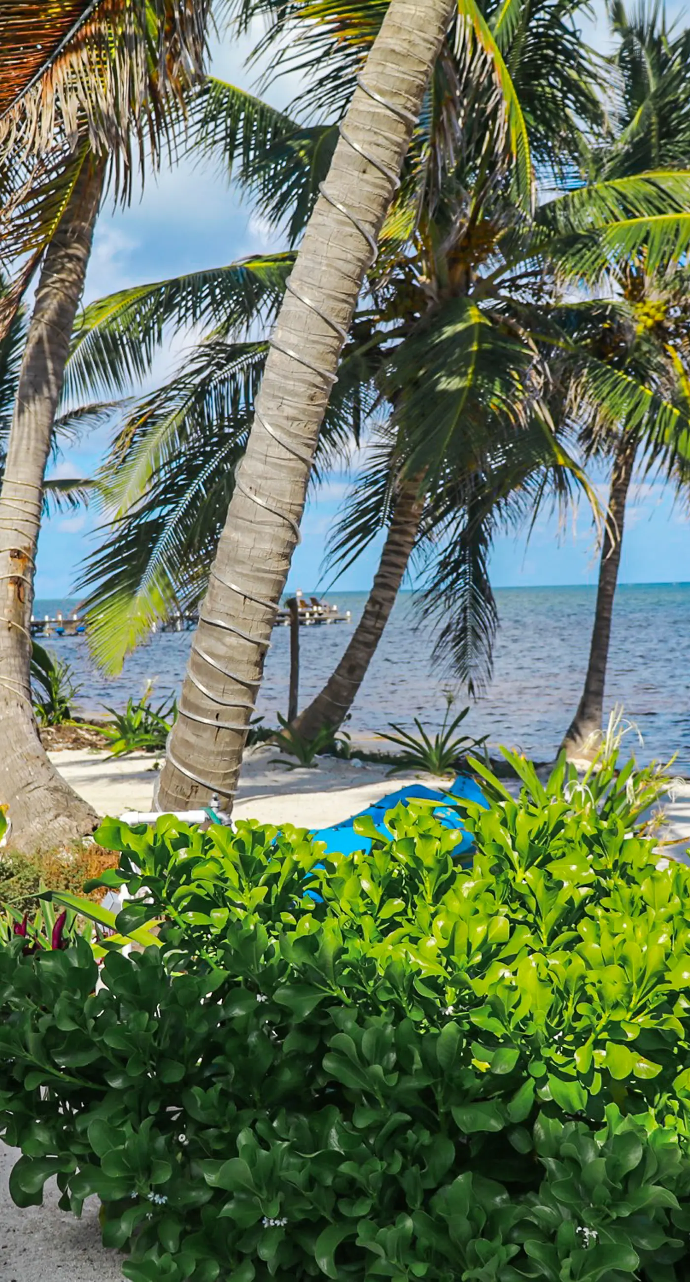 A1 at Blue Water Beach Villas