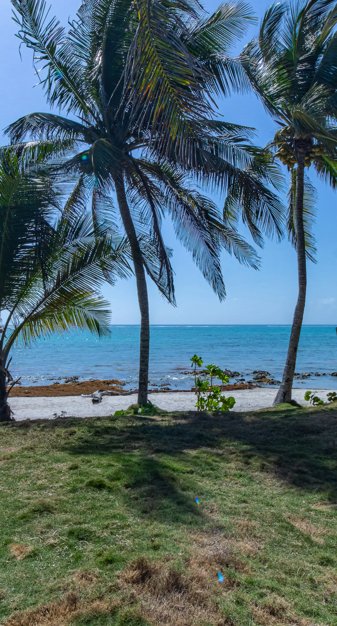Villa Belleza at Tankah Beachfront, Tulum