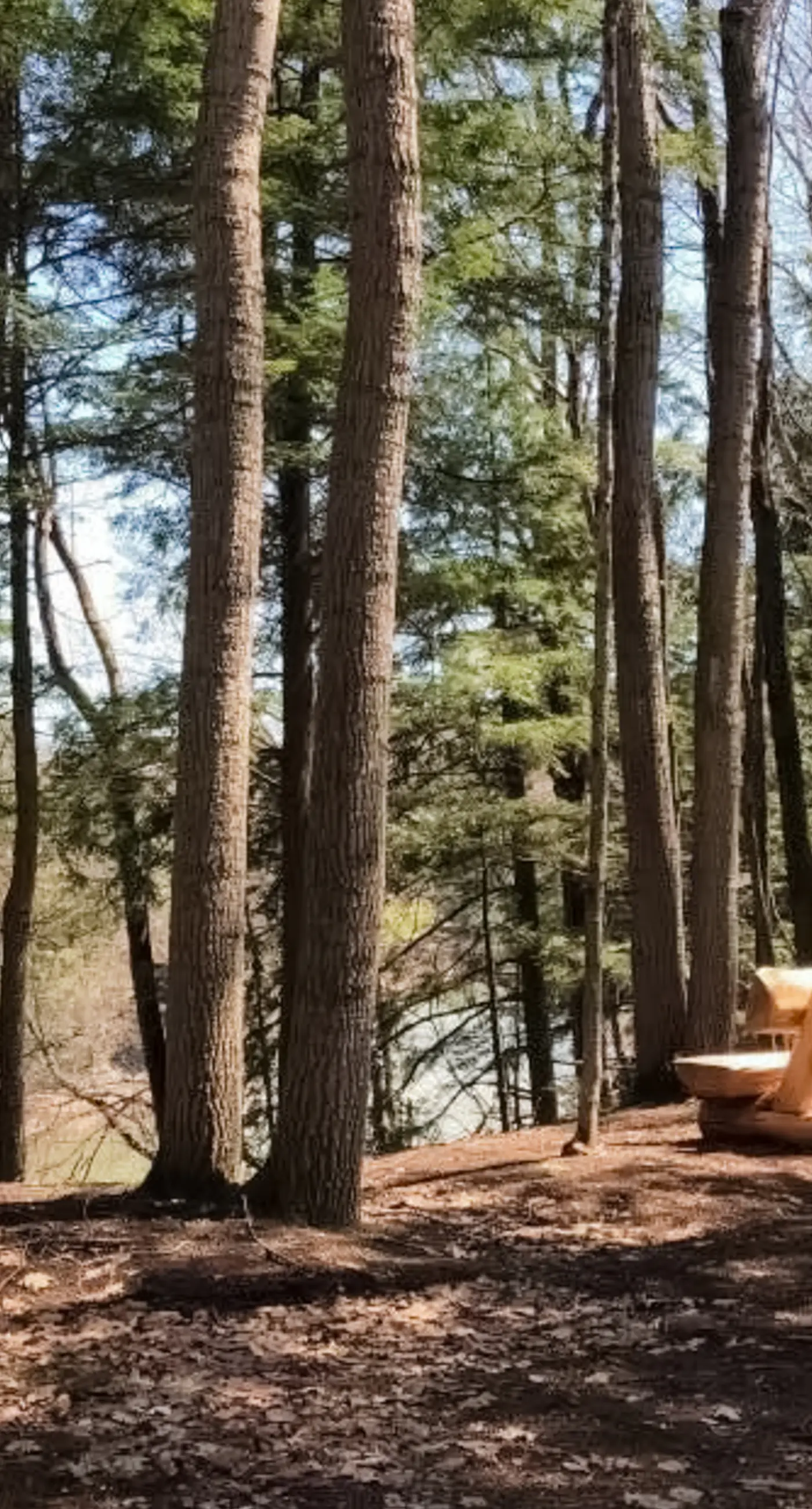 Kingswood I