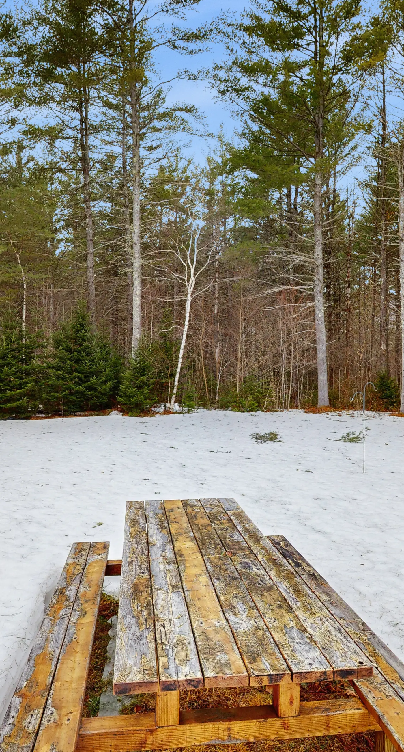 Snowy Pines Lodge