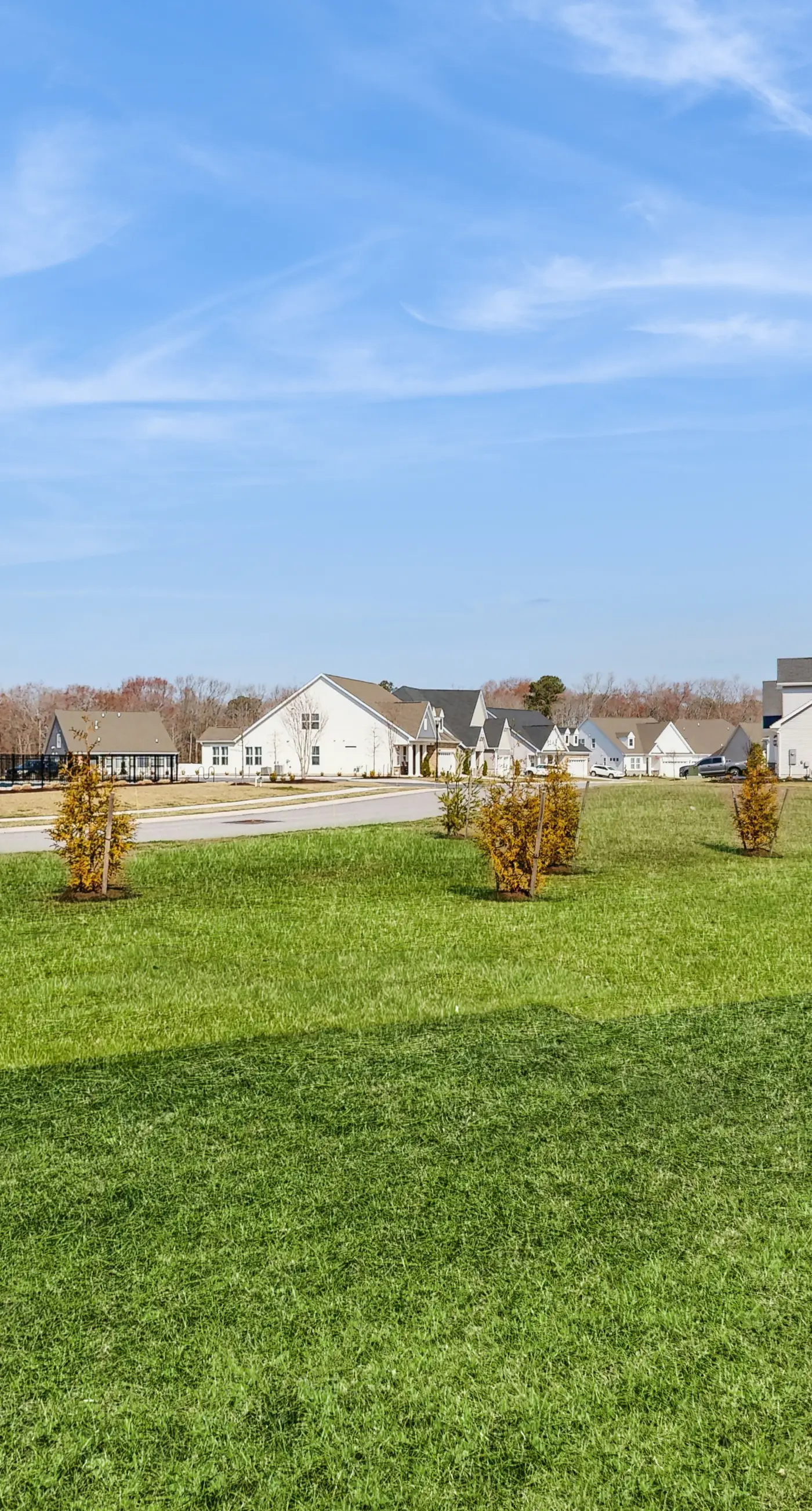 Milos Haven - 31317 Taywood Dr