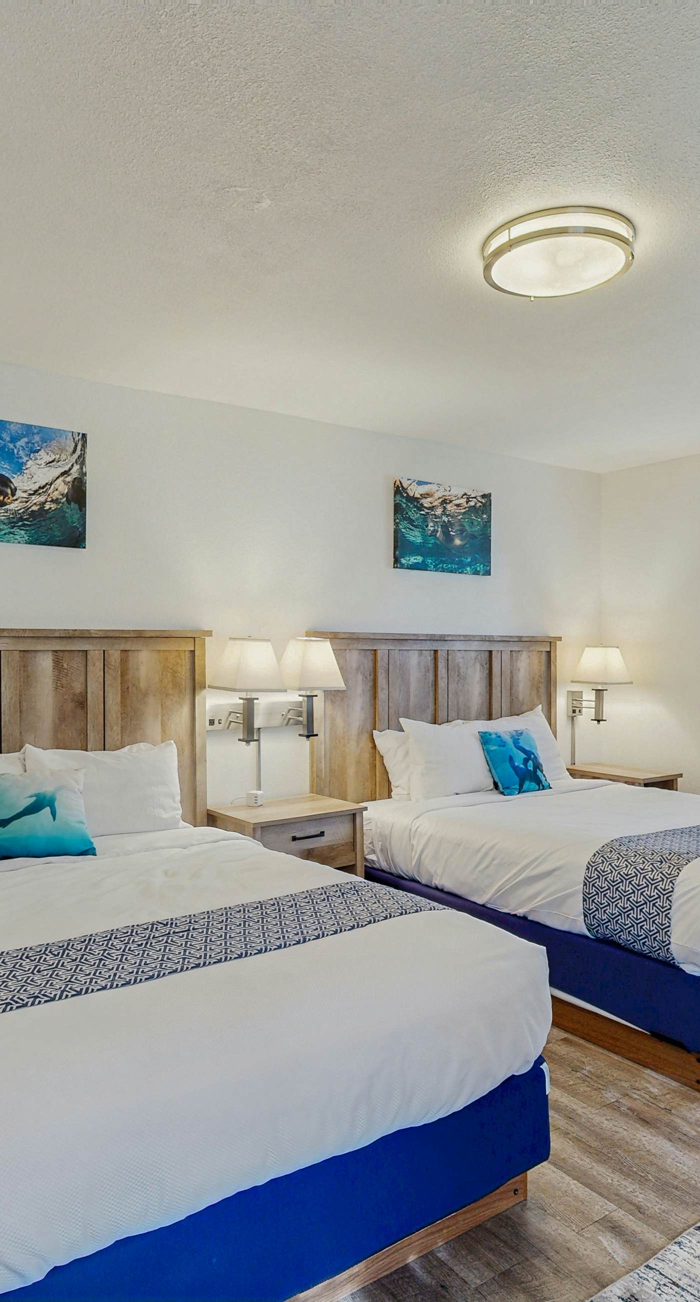 Lamplighter Inn - 104 Sea Lion Cave