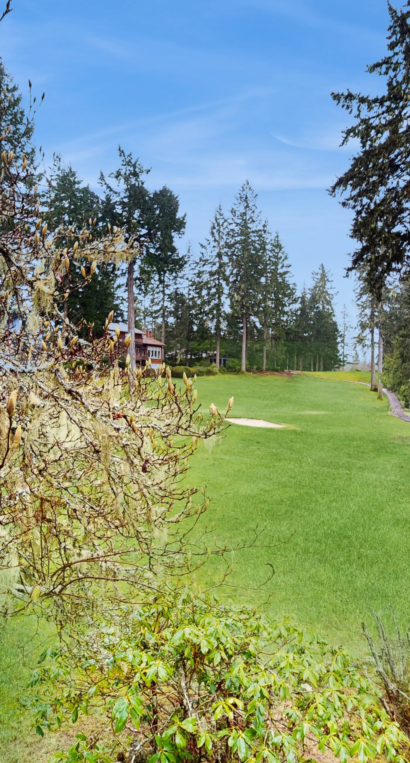 Evergreen Hollow