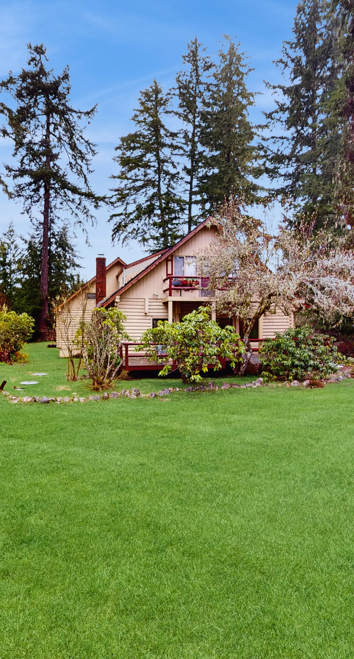 Evergreen Hollow