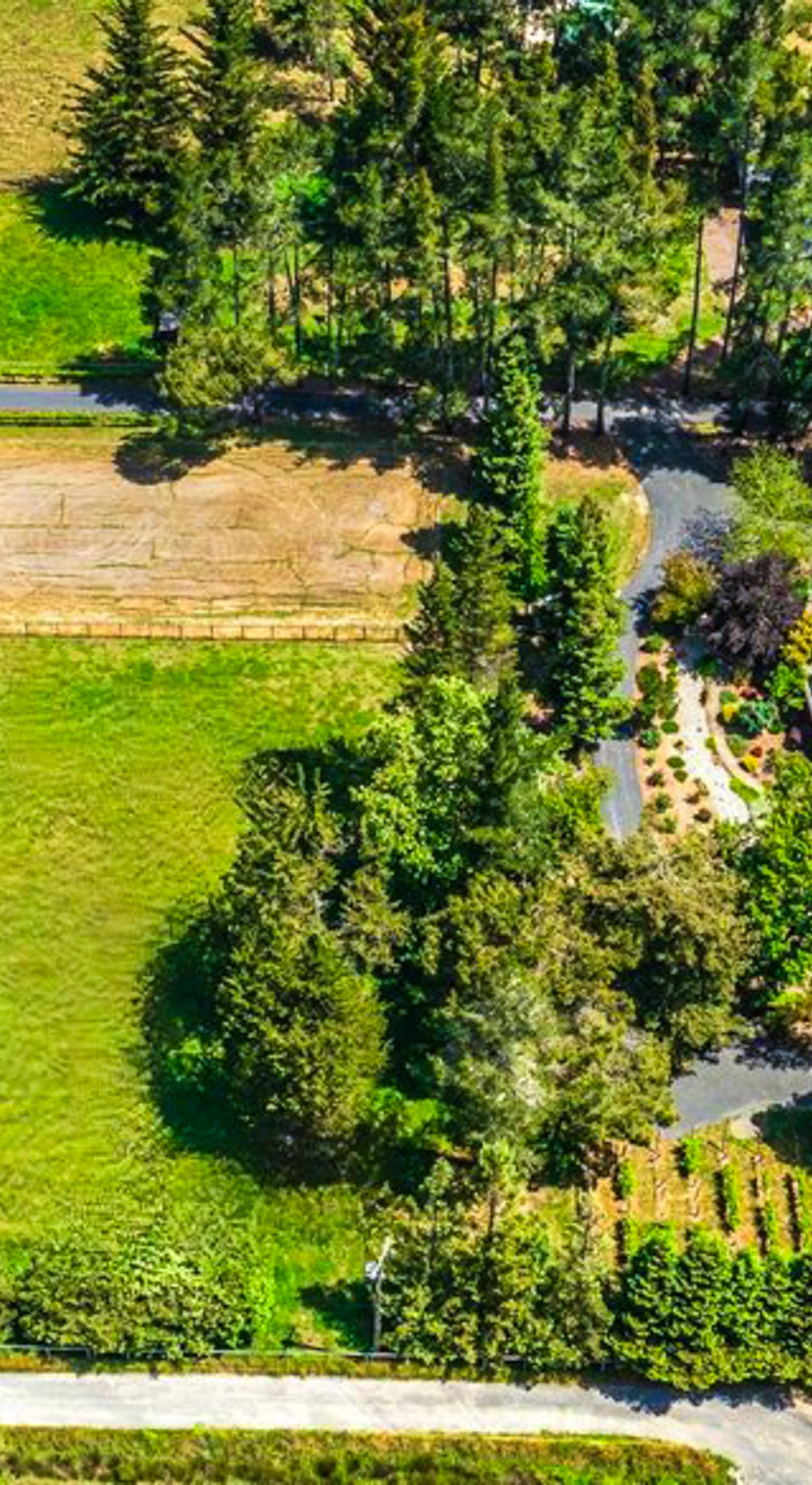 Nestled among Sonoma vineyards, your estate sprawls across lush grounds with a private pool, guest cottage, and event barn — a true wine country compound