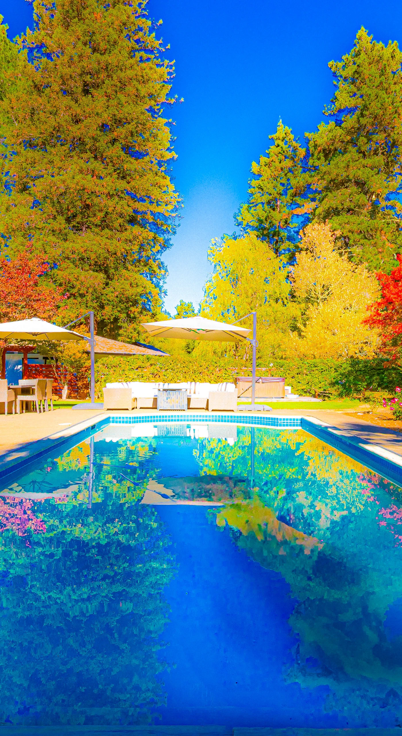 Autumn hues frame your poolside oasis — grab a Sonoma rosé, settle under the umbrellas, and let the warm Sebastopol sunshine do the rest