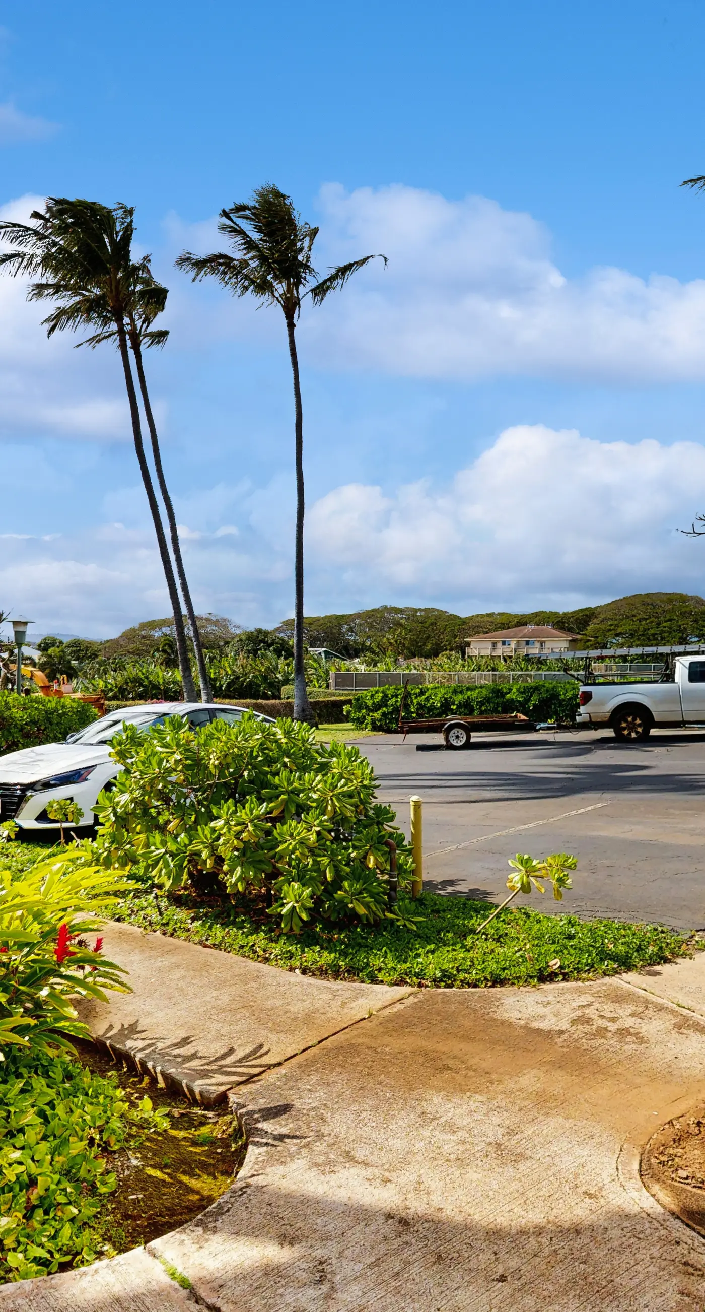 Manualoha 201