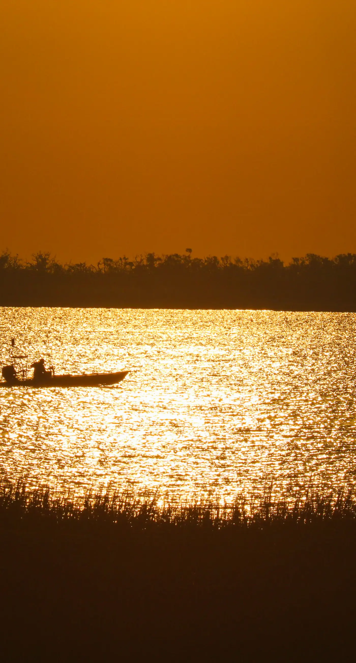 Saltwater Serenity at the Reserve
