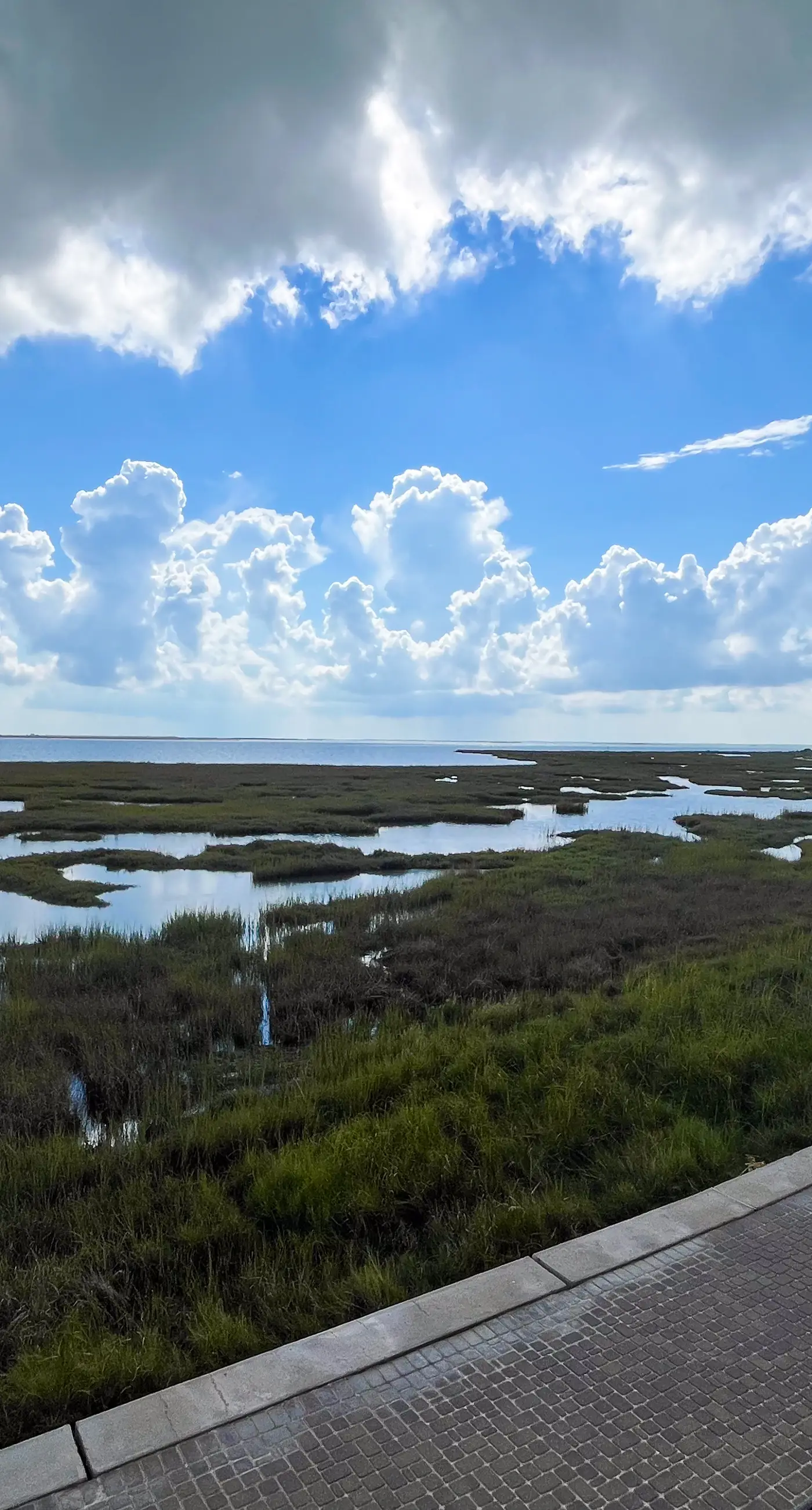 Saltwater Serenity at the Reserve