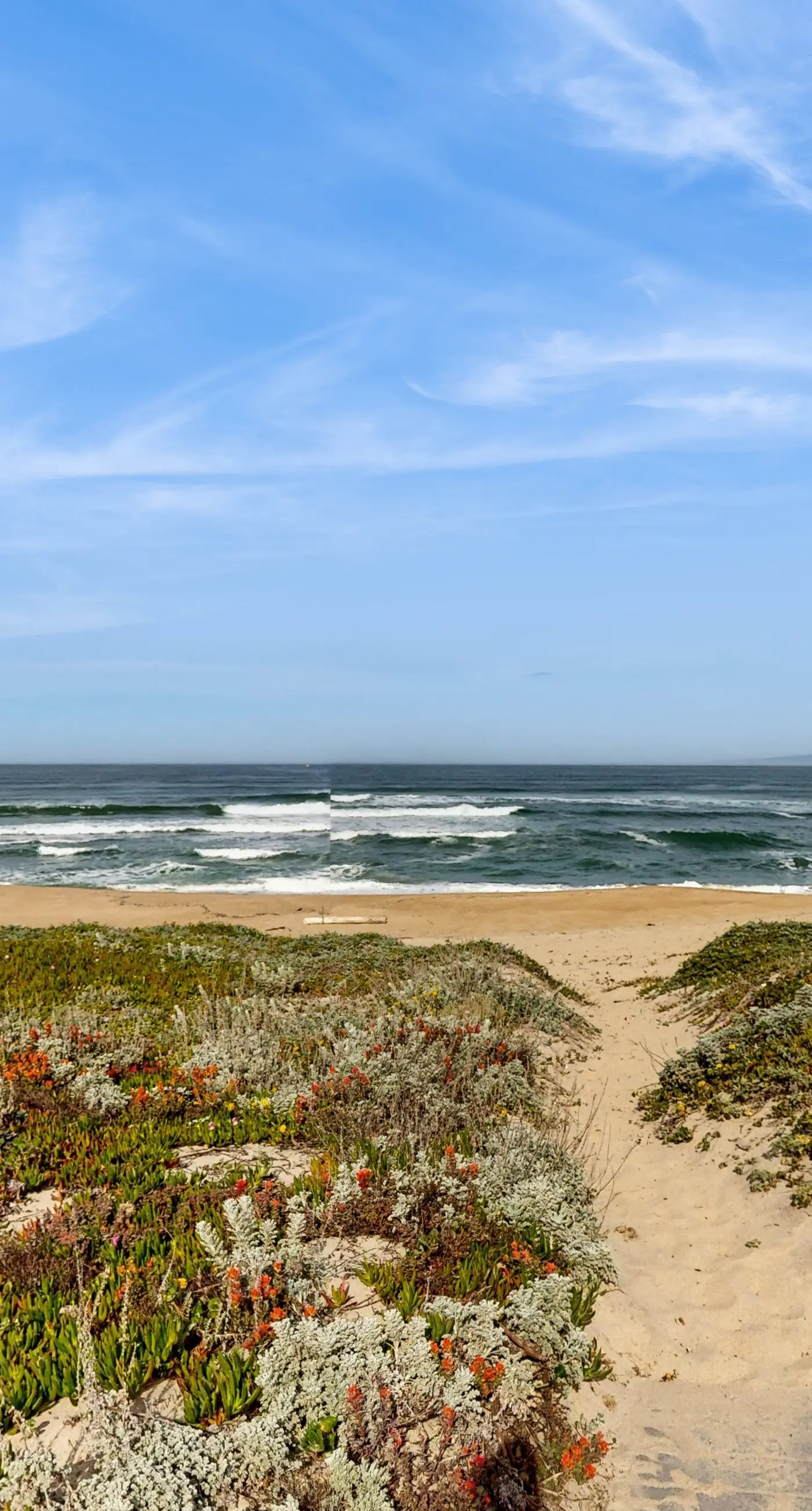 Oceanview Oasis at Monterey Dunes