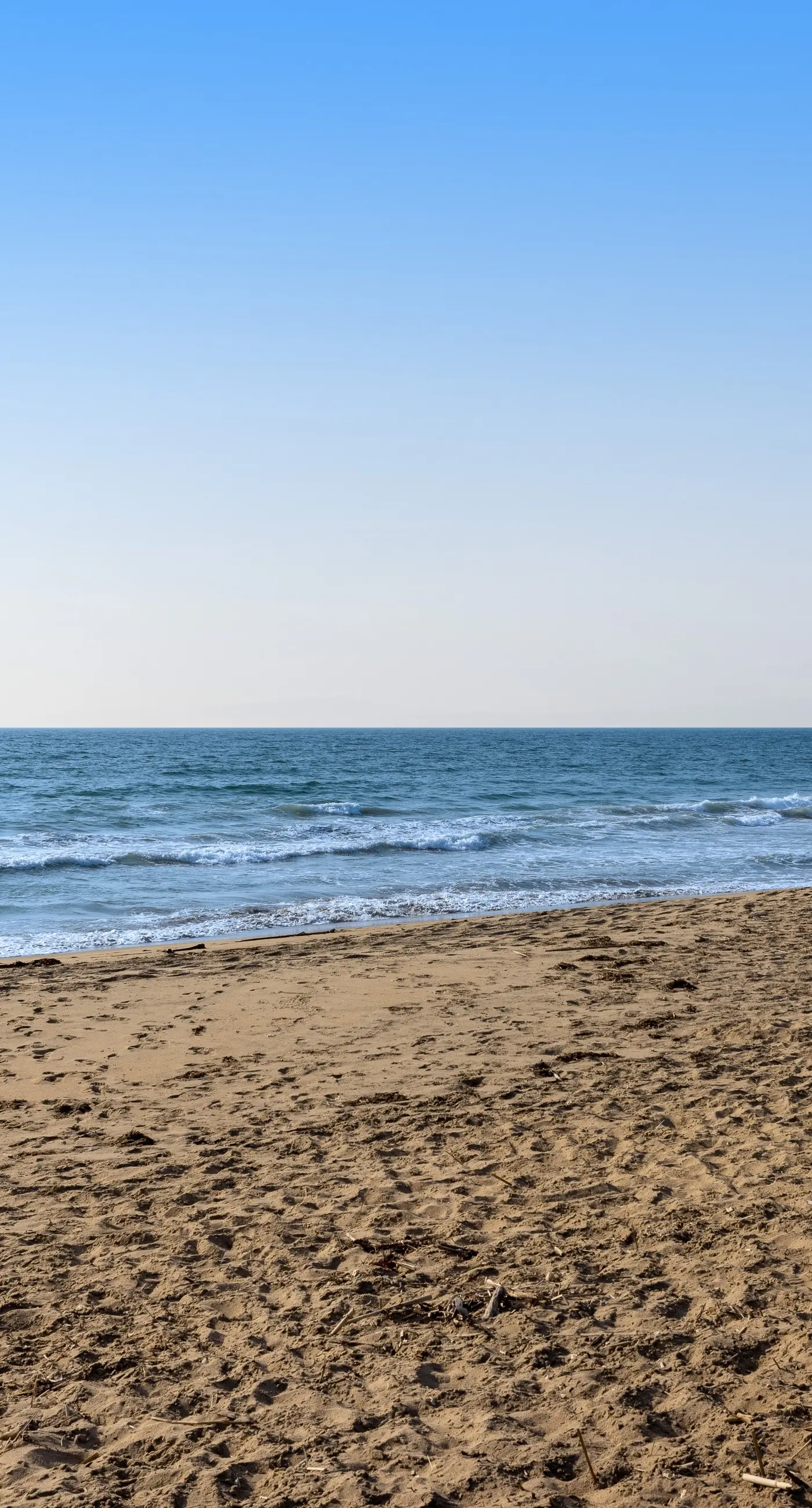Oceanview Oasis at Monterey Dunes
