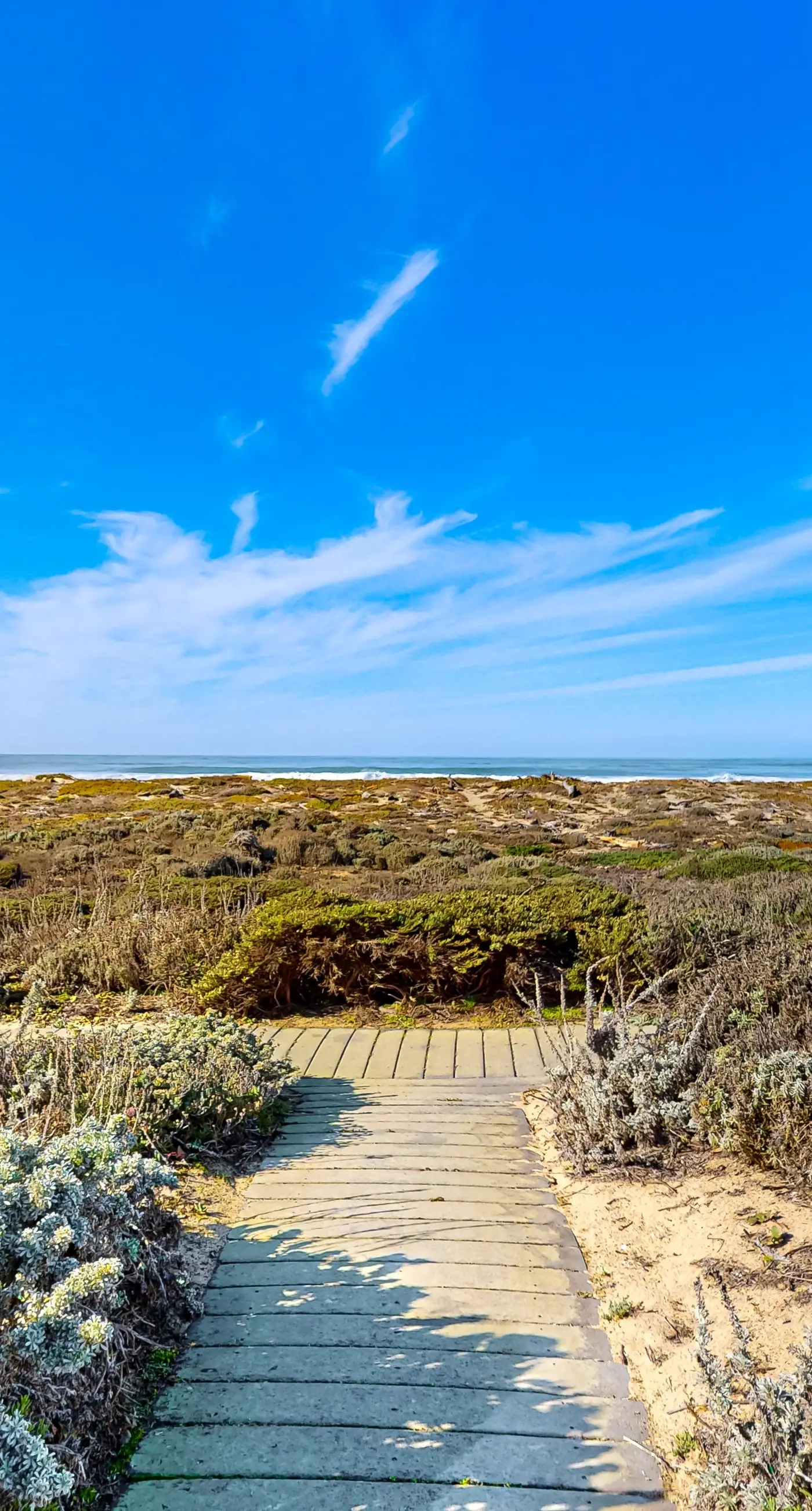 Oceanview Oasis at Monterey Dunes