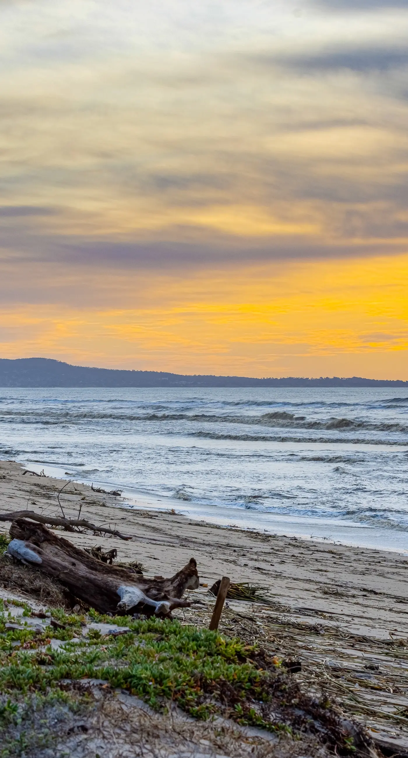 Oceanview Oasis at Monterey Dunes