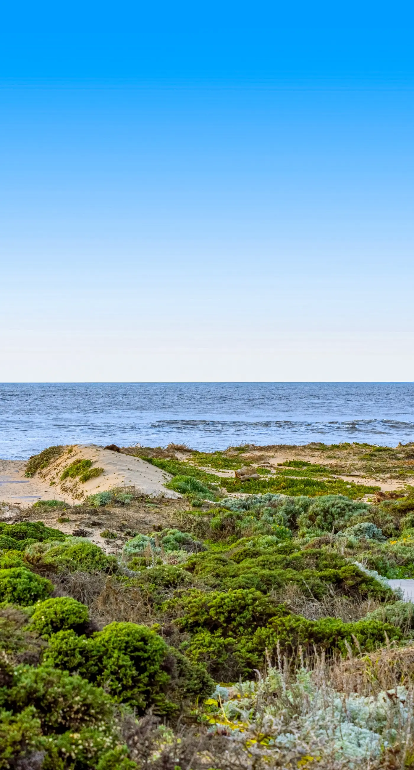 Oceanview Oasis at Monterey Dunes