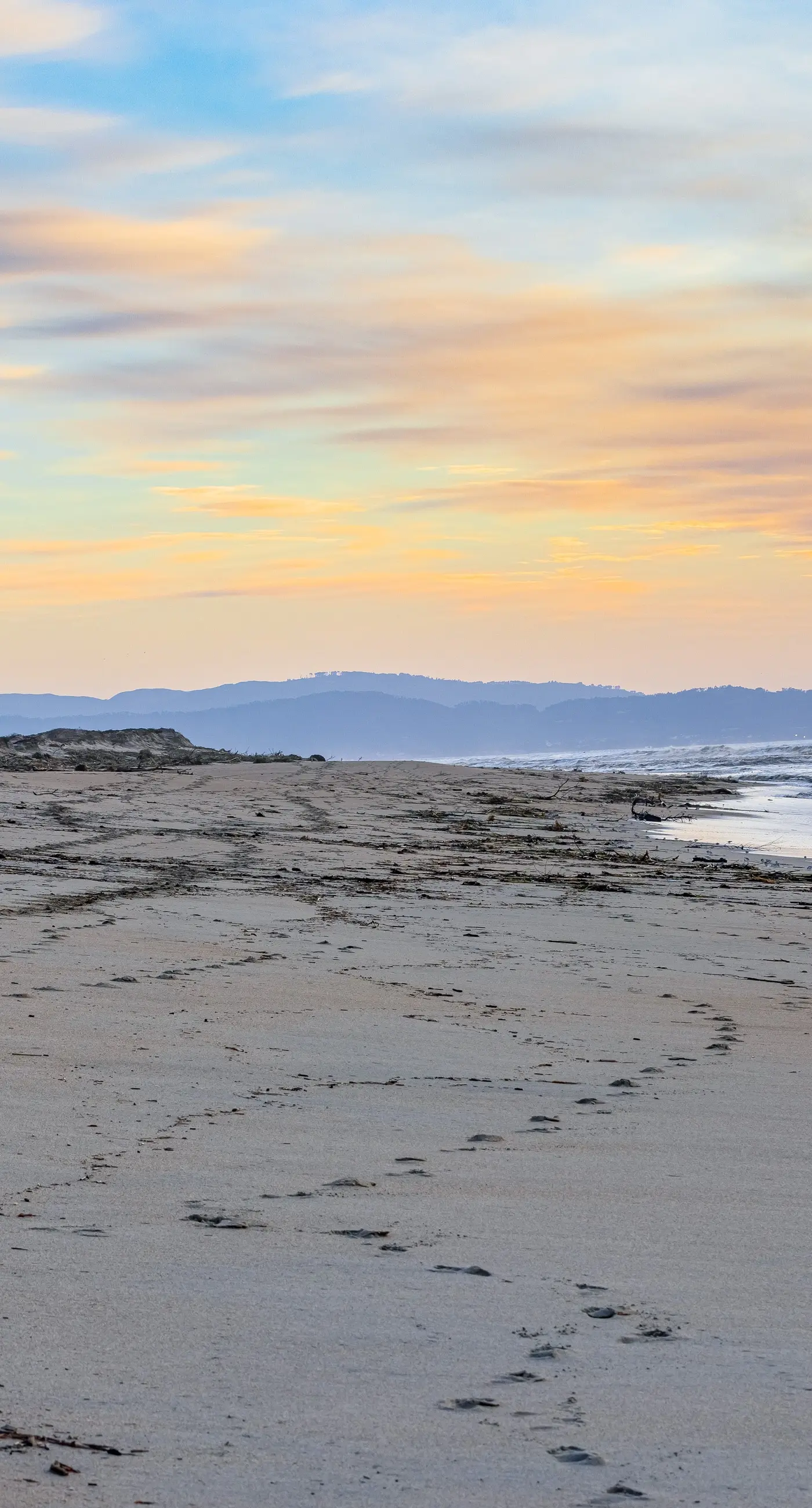 Oceanview Oasis at Monterey Dunes