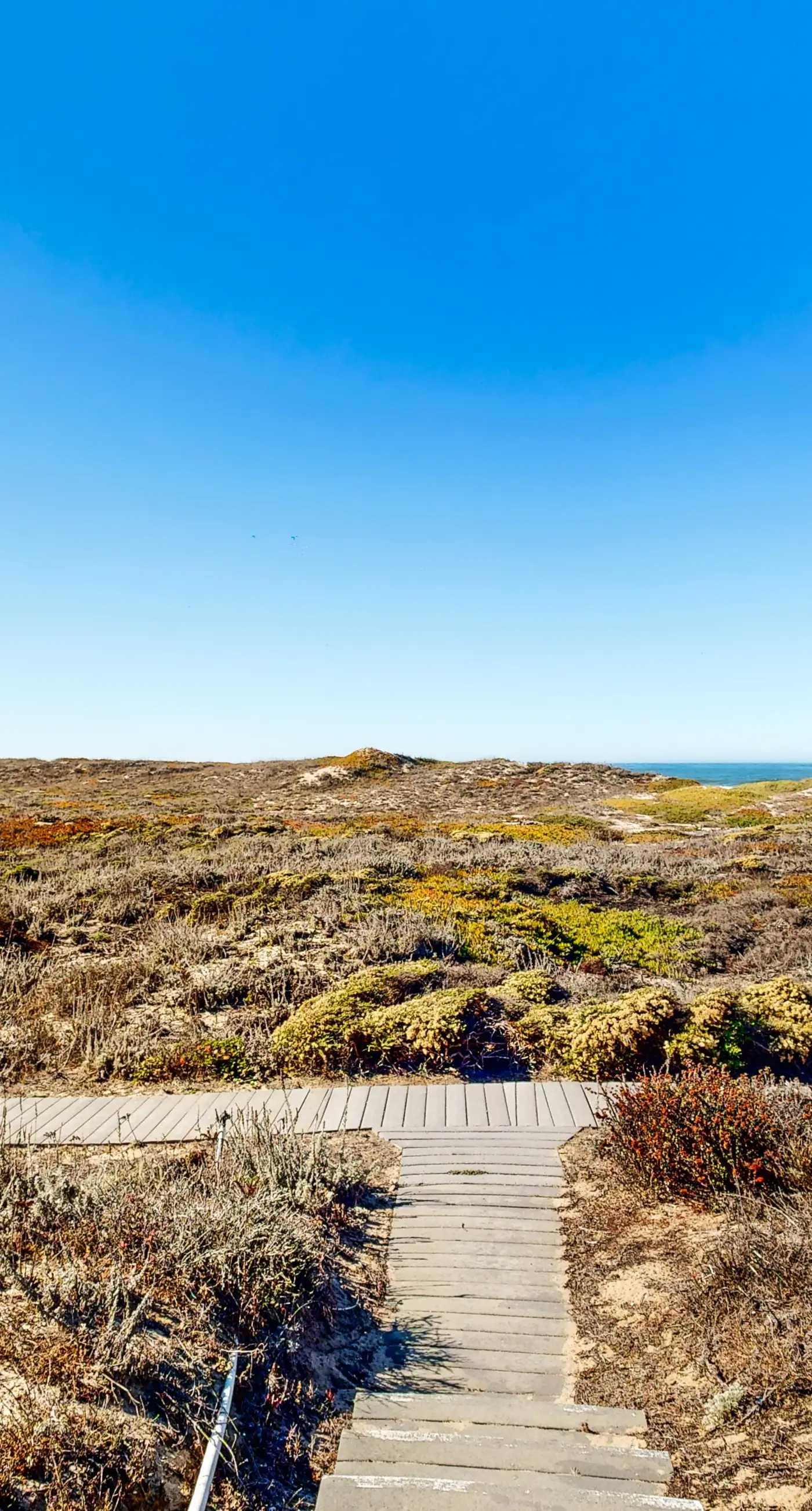 Oceanview Oasis at Monterey Dunes