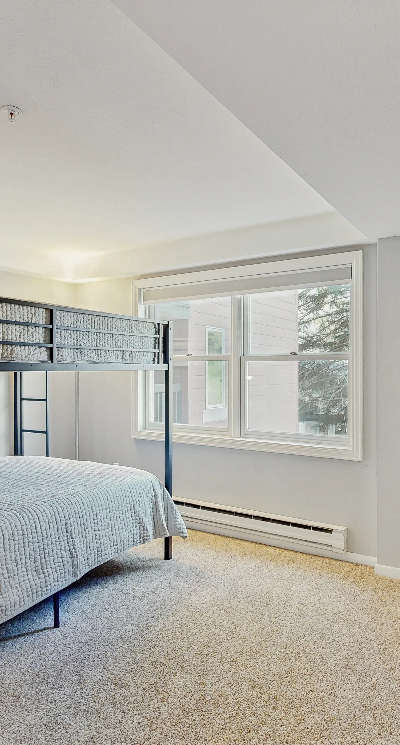 Torian Plum Plaza 308 