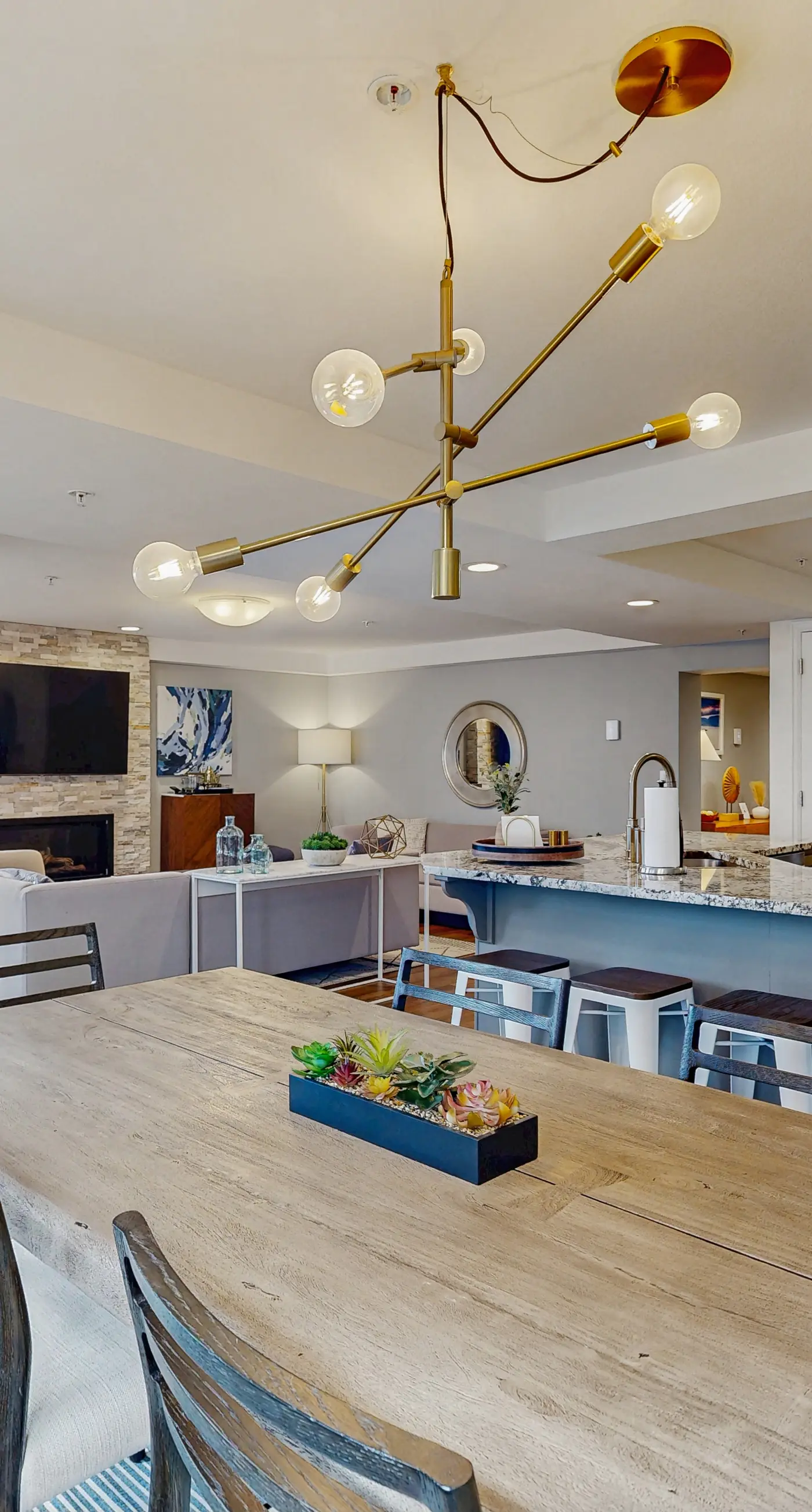 Torian Plum Plaza 308 