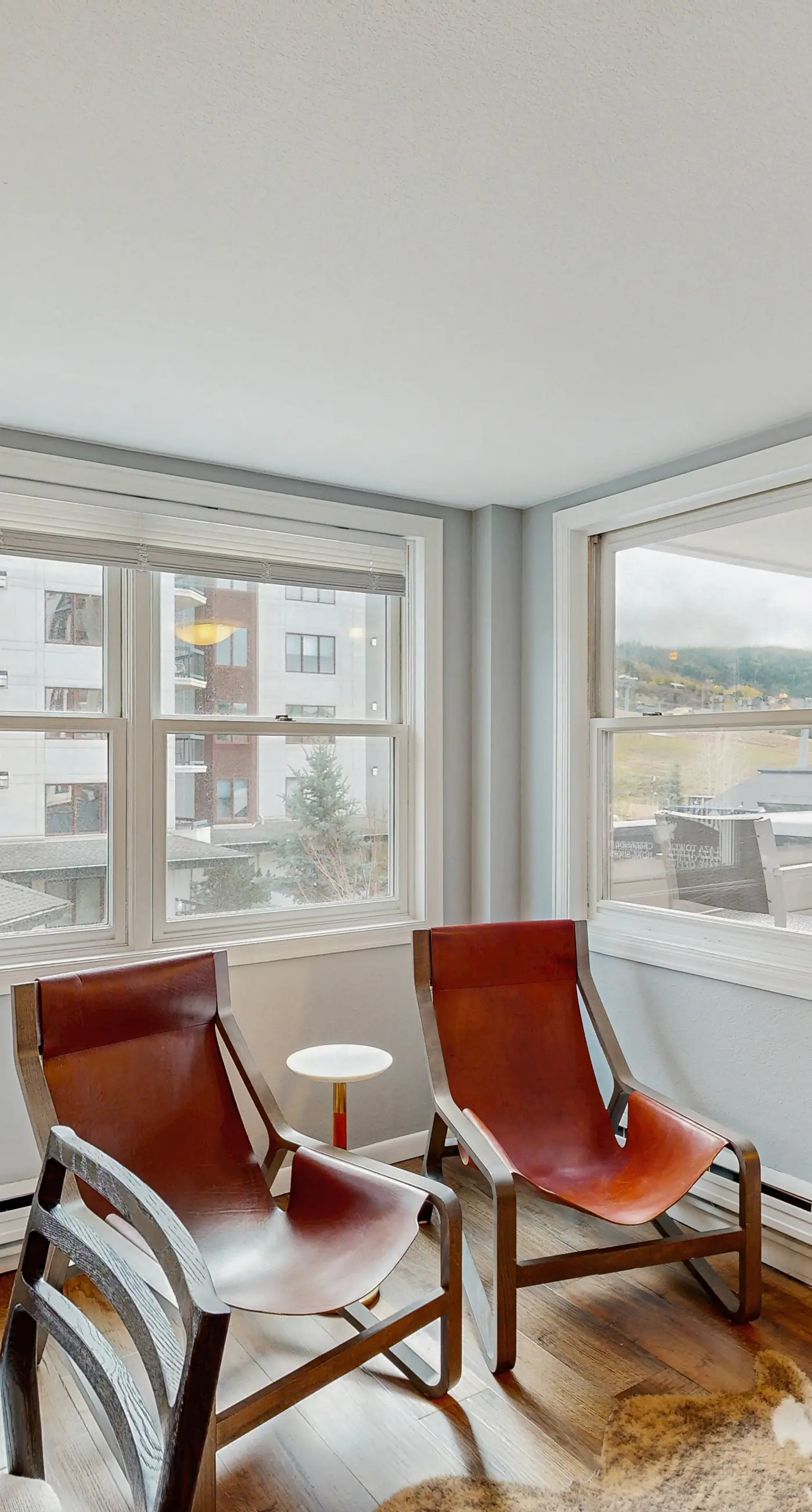 Torian Plum Plaza 308 