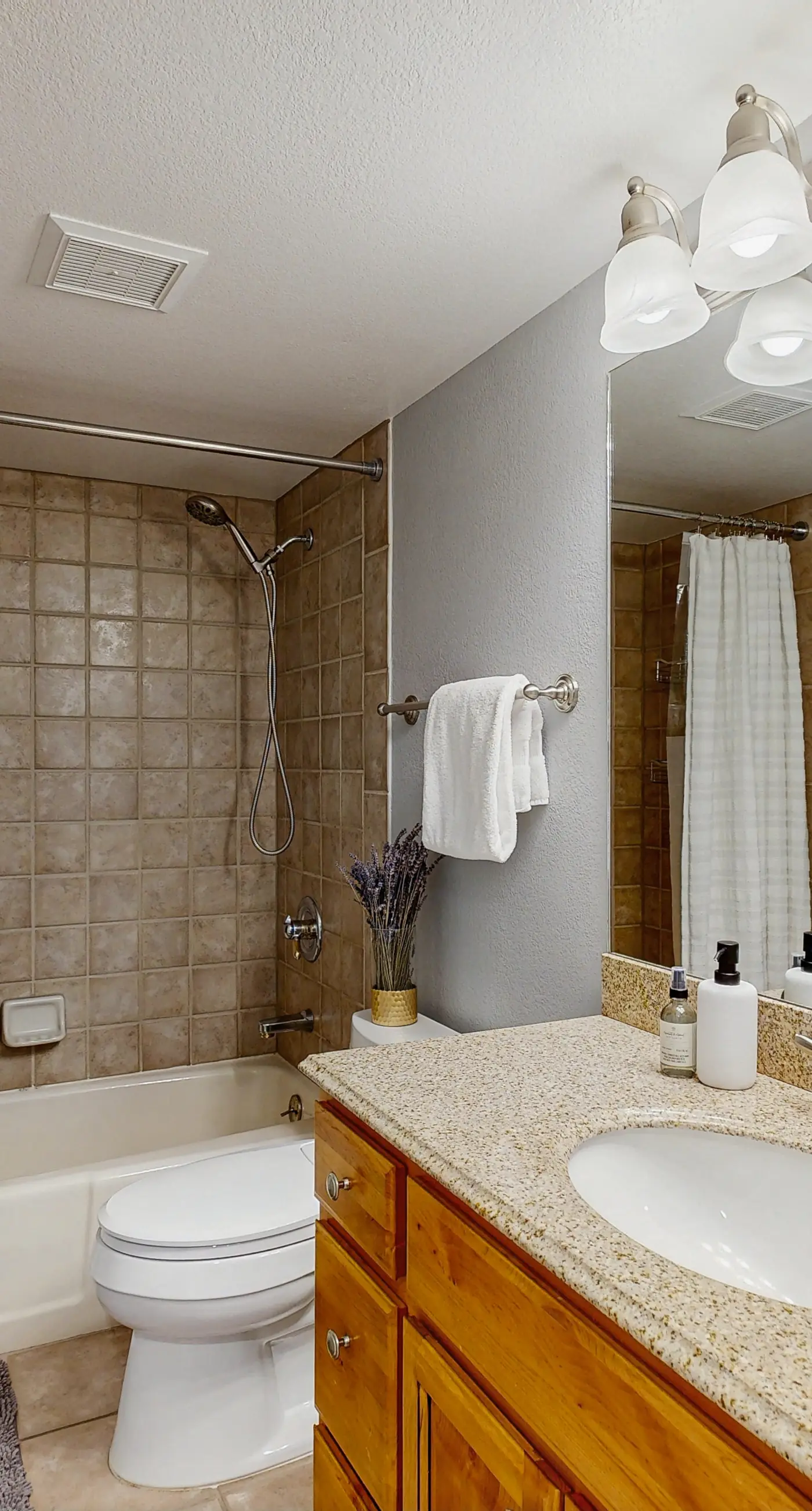 Torian Plum Plaza 308 