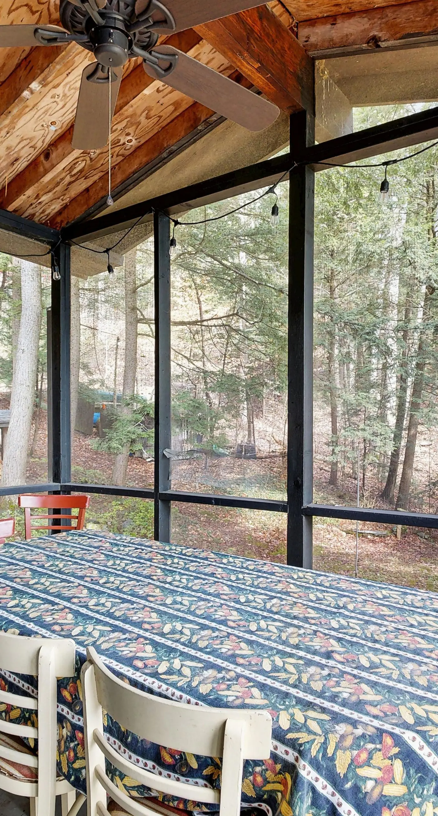 Beebe Lake House