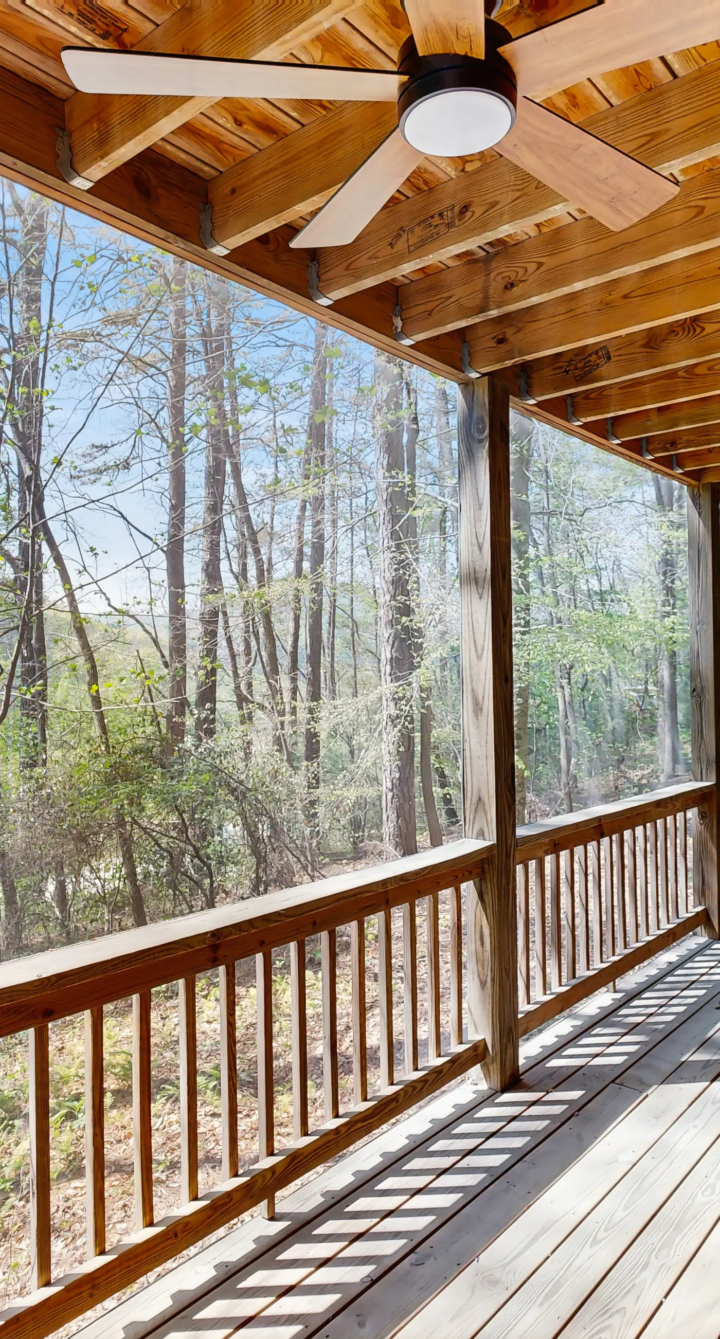 Bear Paw Cabin