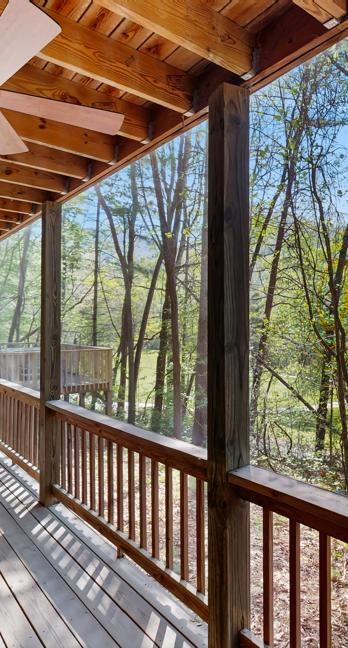 Bear Paw Cabin