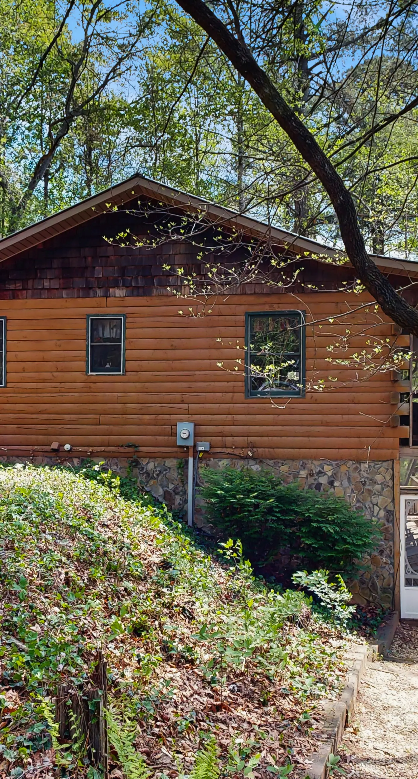Bear Paw Cabin