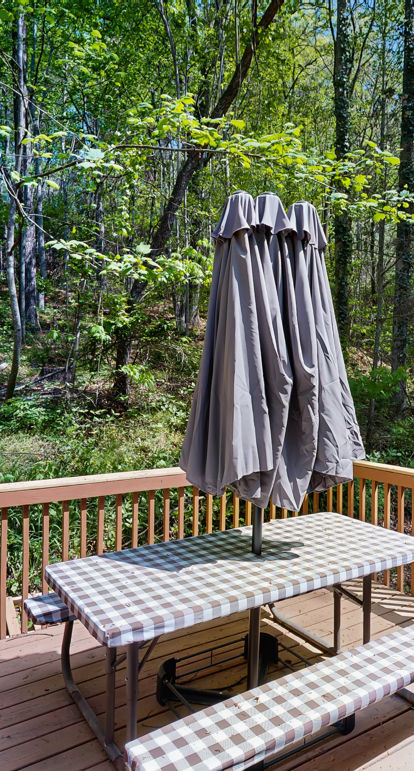 Bear Paw Cabin