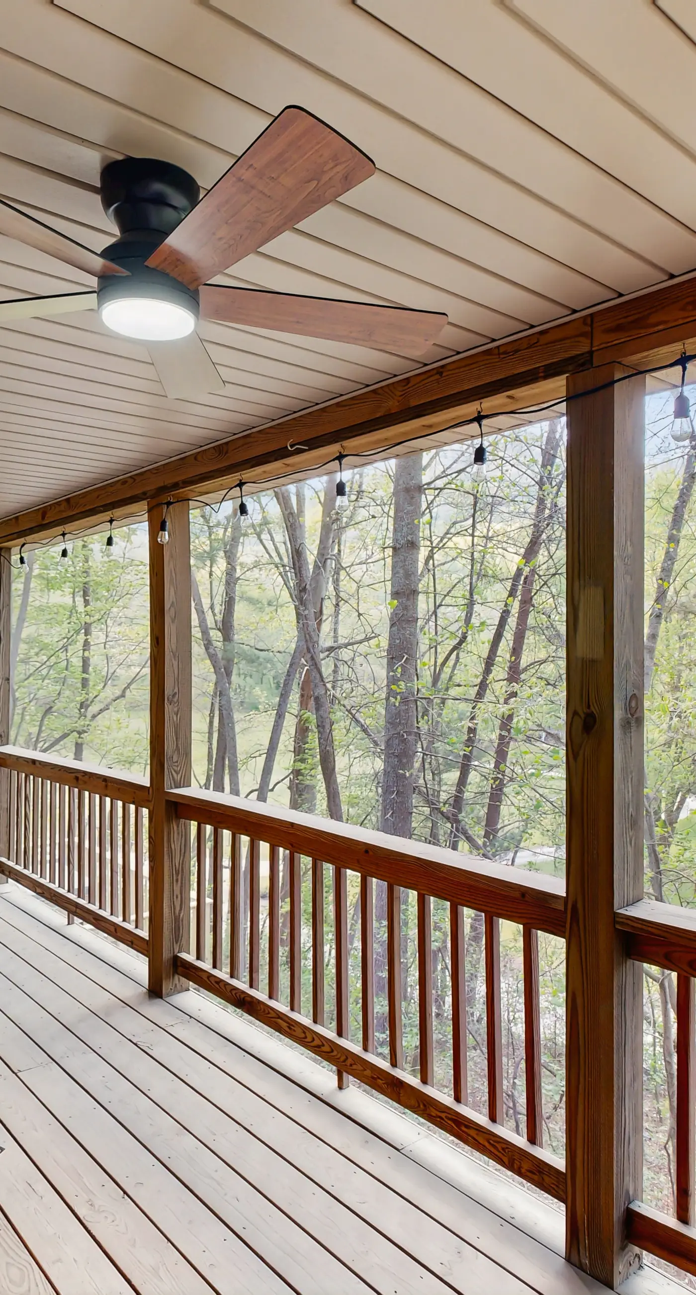 Bear Paw Cabin