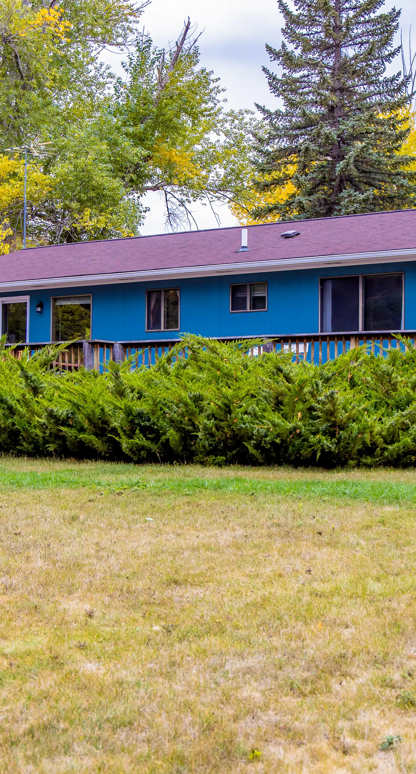 Big Arm Blue House