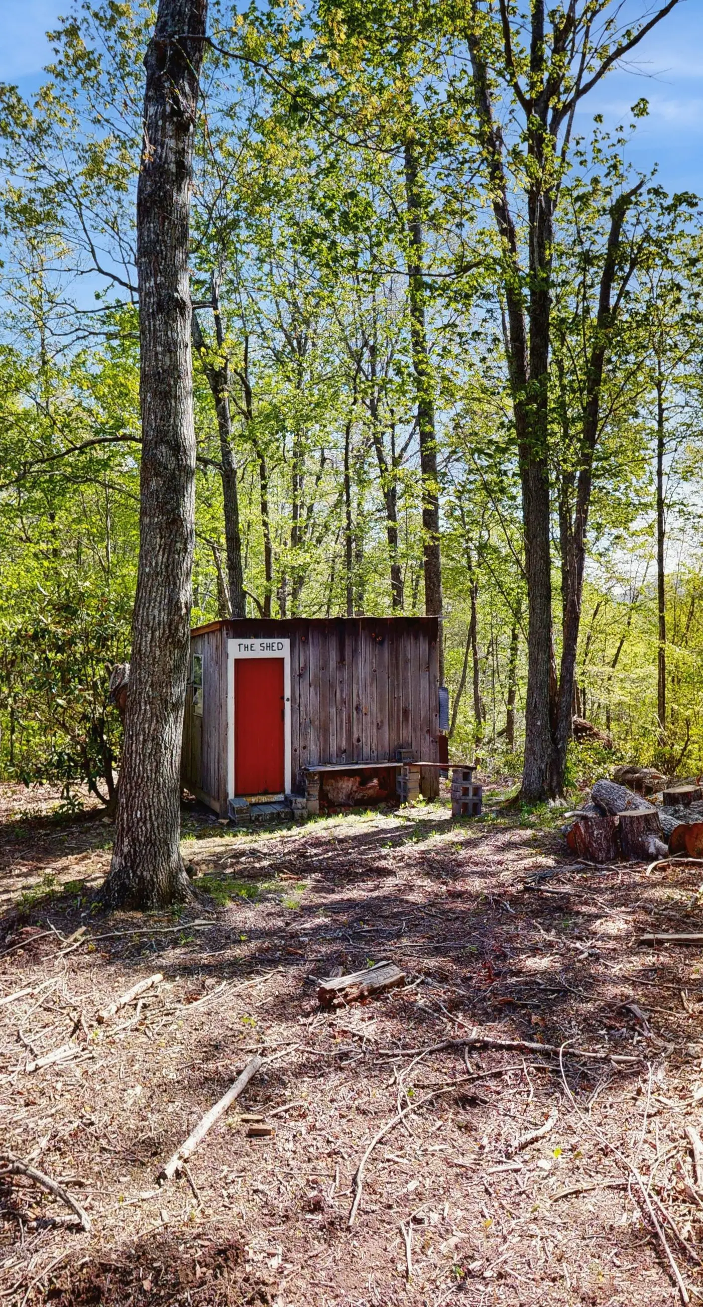 Gold Creek Cabin
