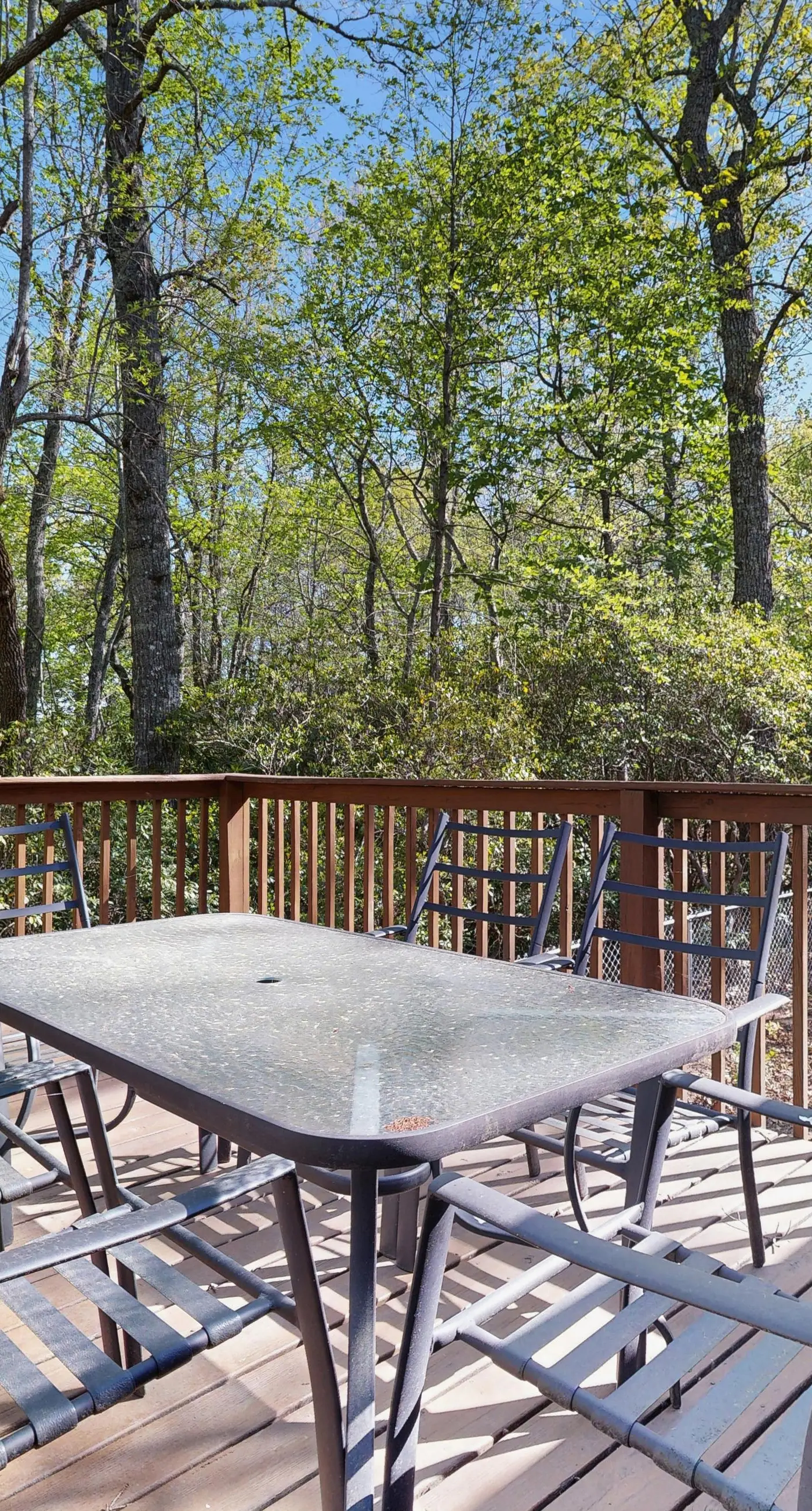Gold Creek Cabin