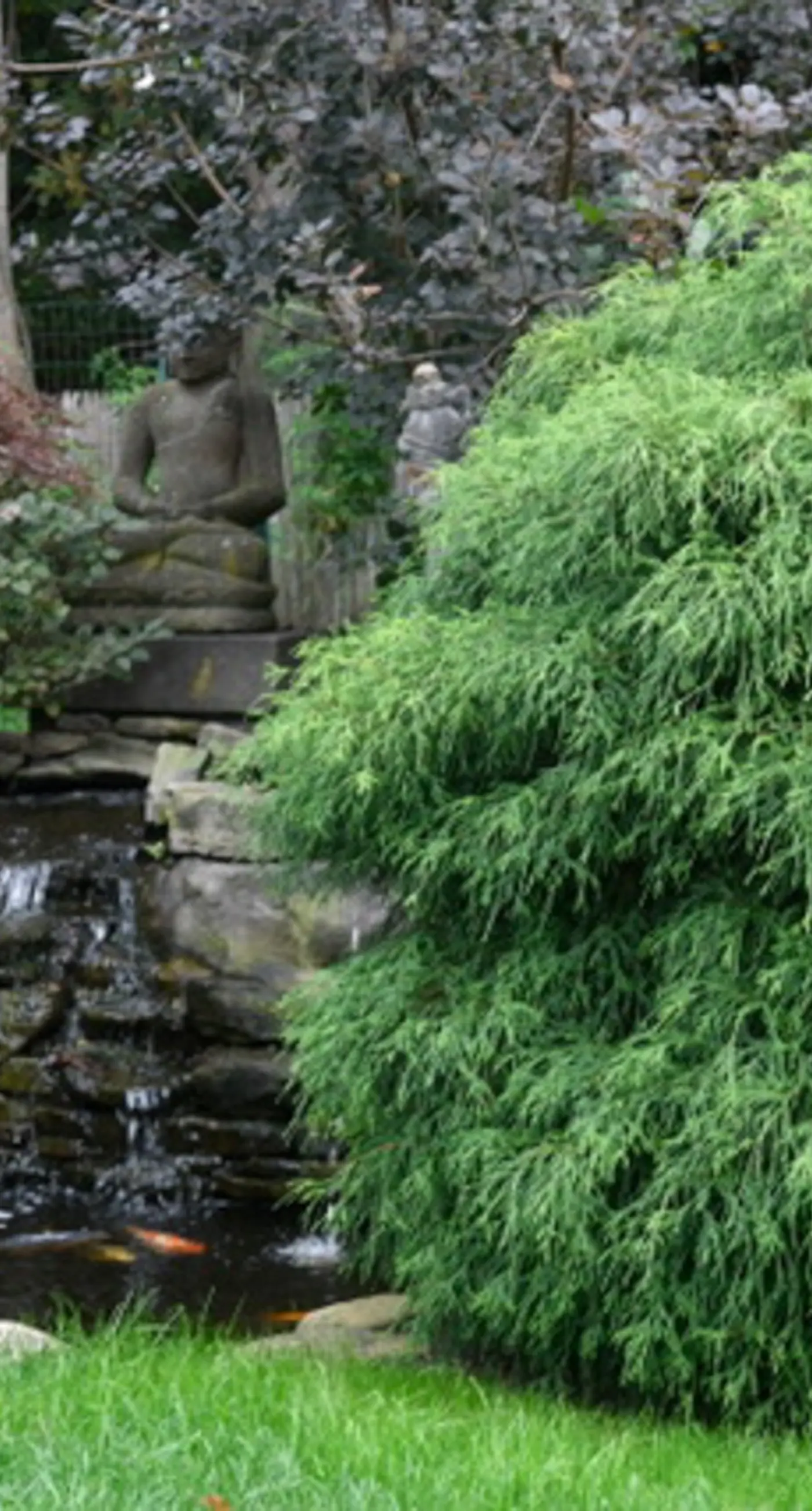 Hampton Retreat 